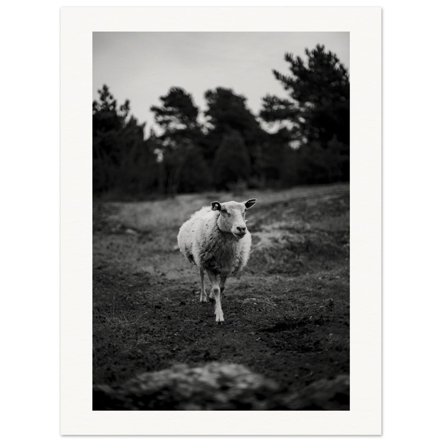 b52fe9e2-b9e0-421d-98ac-ed629e8f22b7