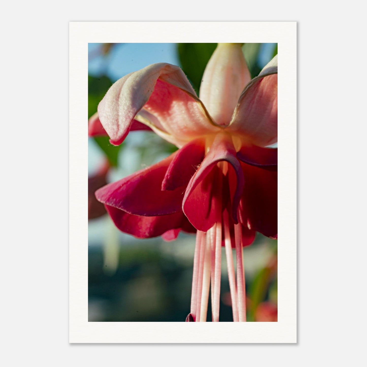 b593f375-638d-4e38-b503-9a6fa33af8dd