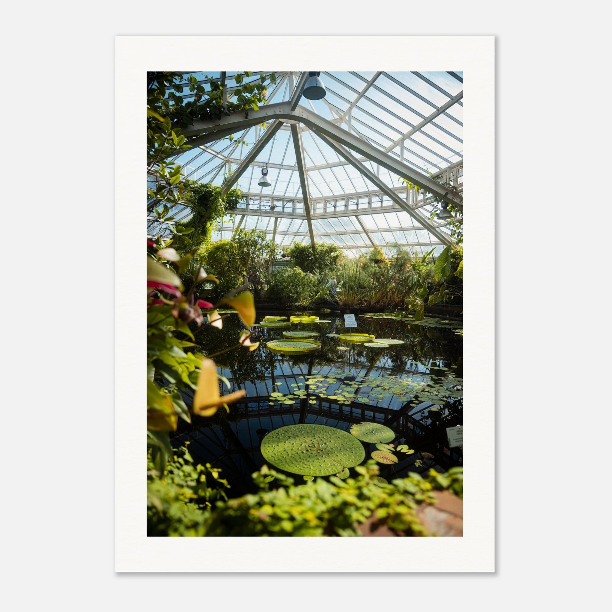 b5b2f20b-1e0d-4b1a-9b3d-f4e0d92af40b