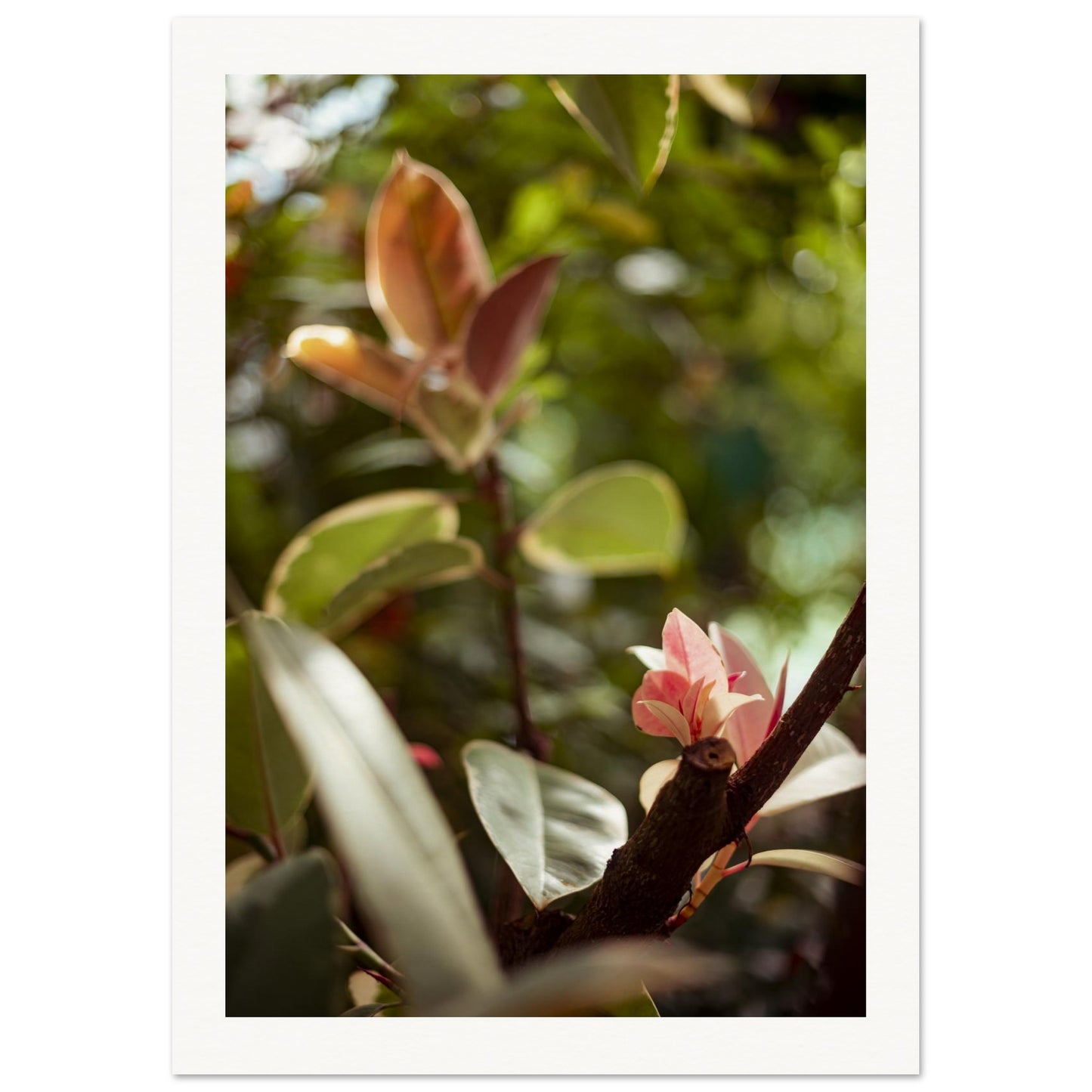 b6c7a573-dc4b-425f-a9ed-4393cf56e70c