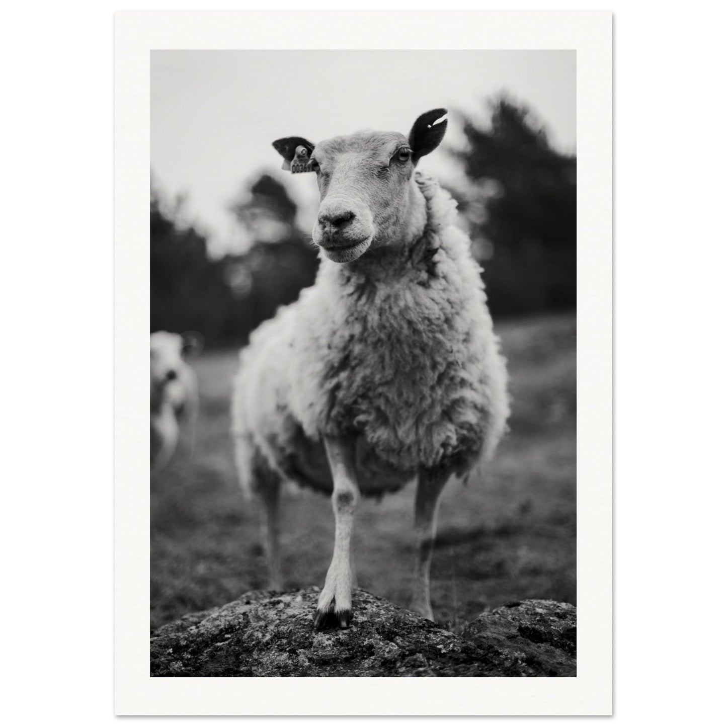 bd28ccbb-182a-4be4-b361-b679712634b4