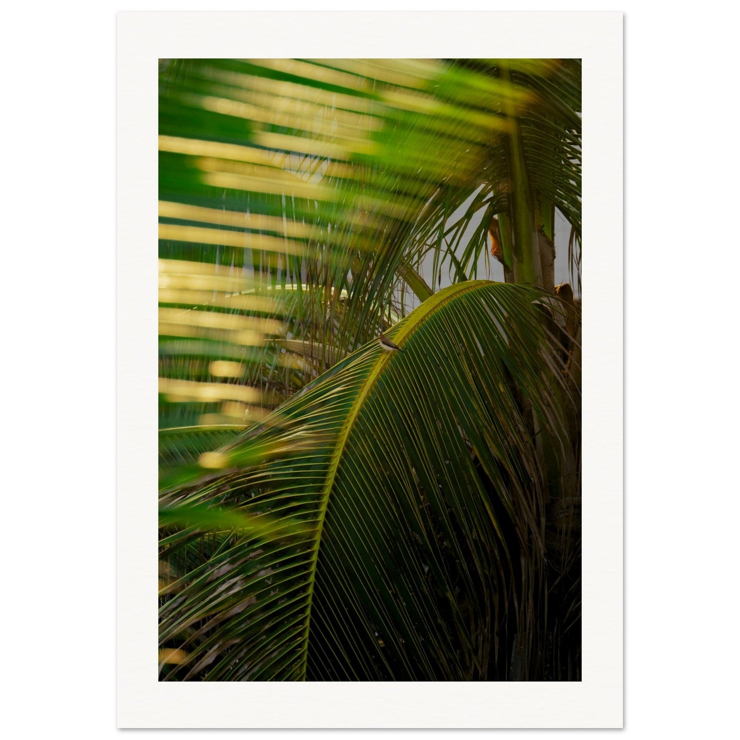 bdb57af1-7821-4534-bac0-49bc833f2059