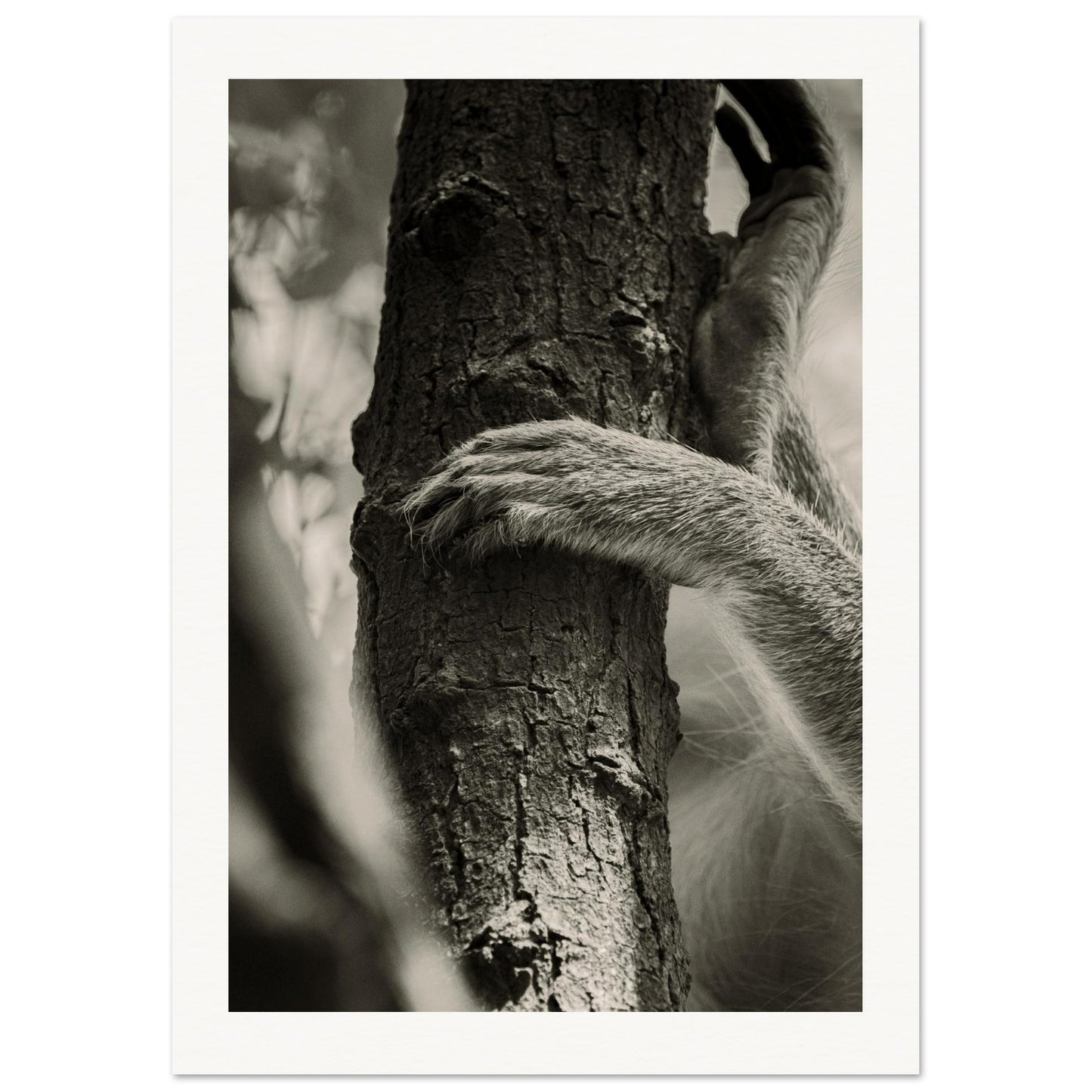 bdb6f688-5f13-4bde-931c-a38b9b3be8f4