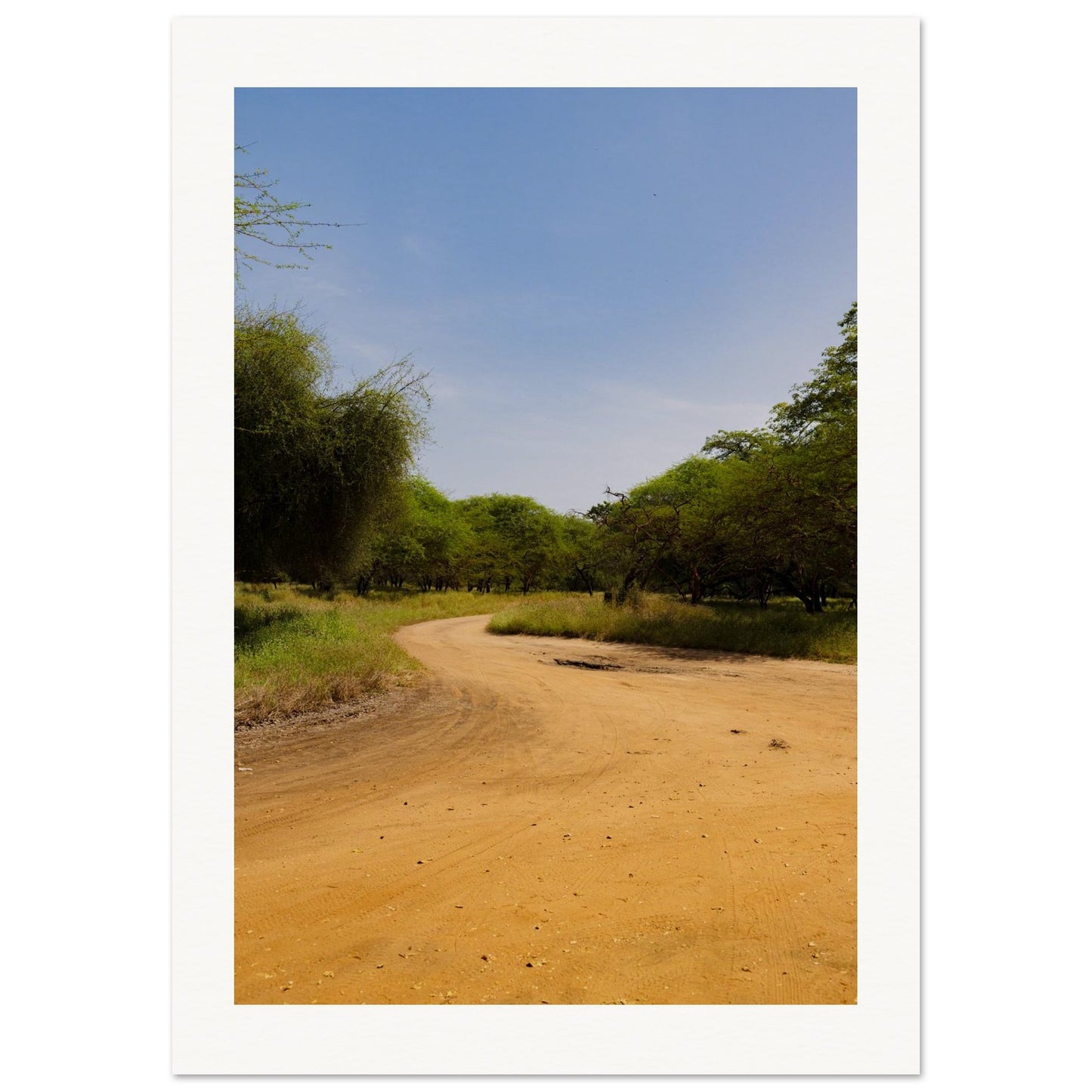 bdb90570-390d-4a7c-b902-f1270b098195