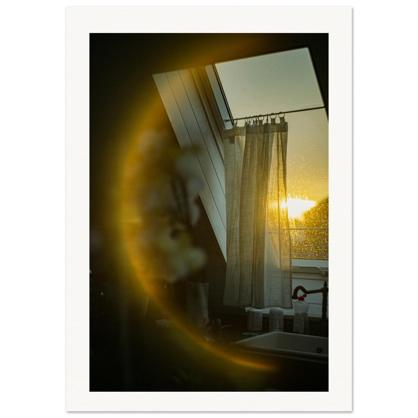 bfc6a06d-2e47-405f-838a-6e6cc2558d24