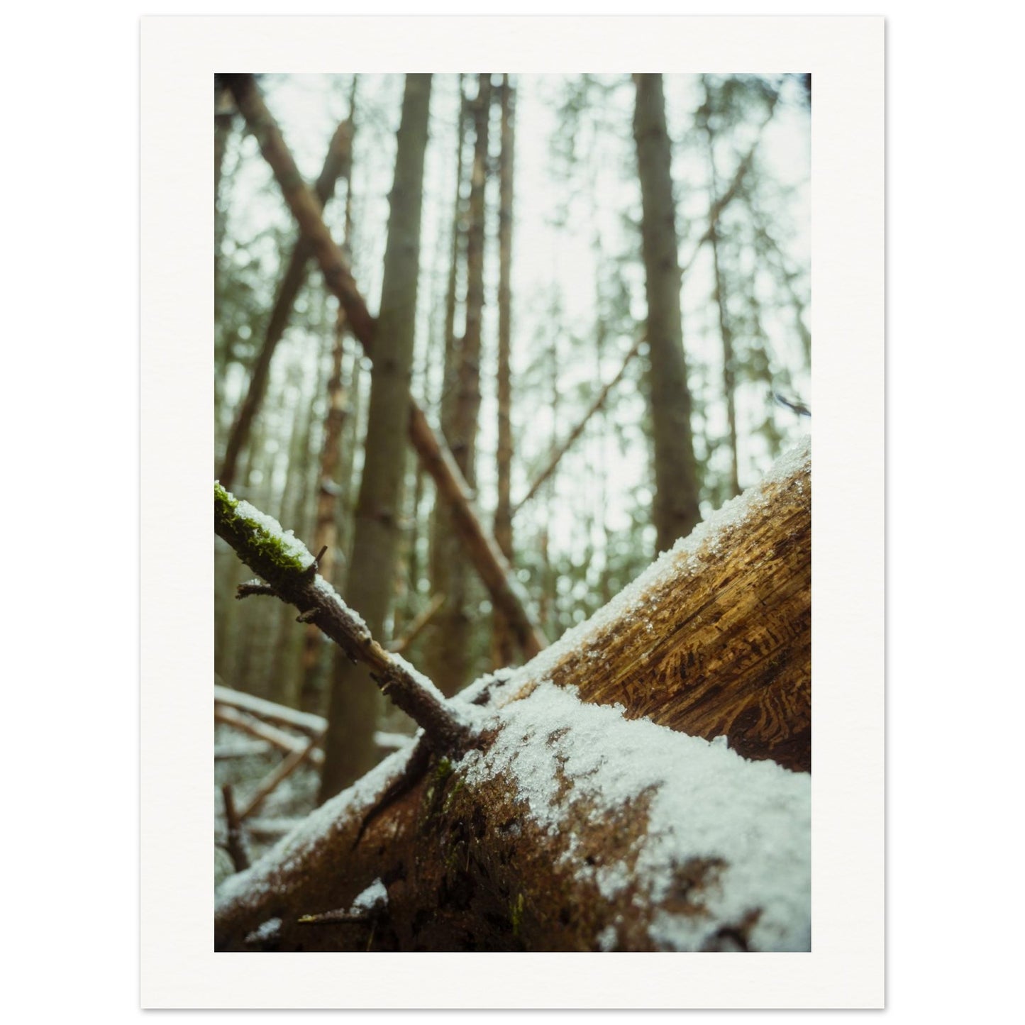 c1757a88-f8bd-488f-97f4-48a0d9ec0edd