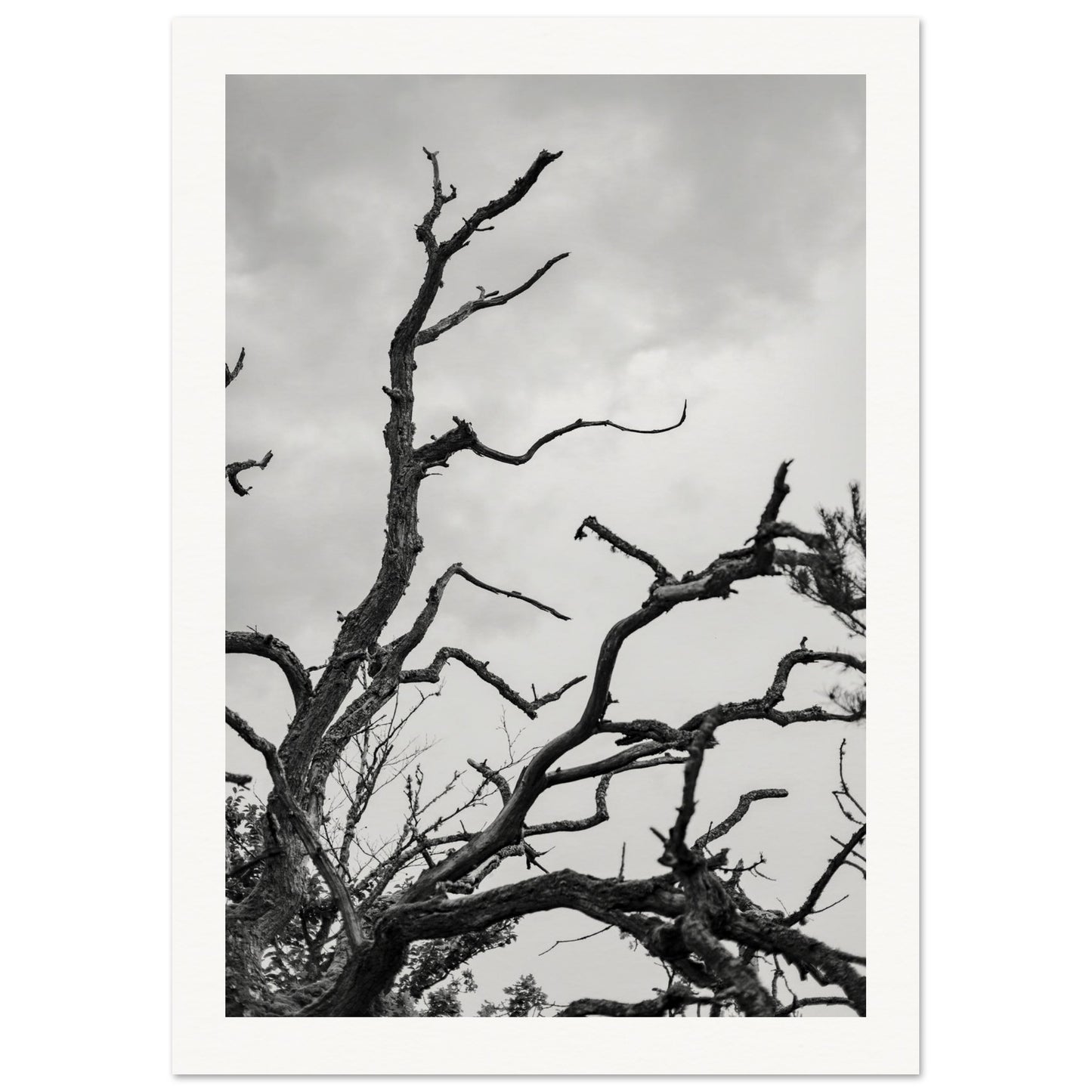 c22fdef4-2493-45ec-b760-1ab26d0c2dc9