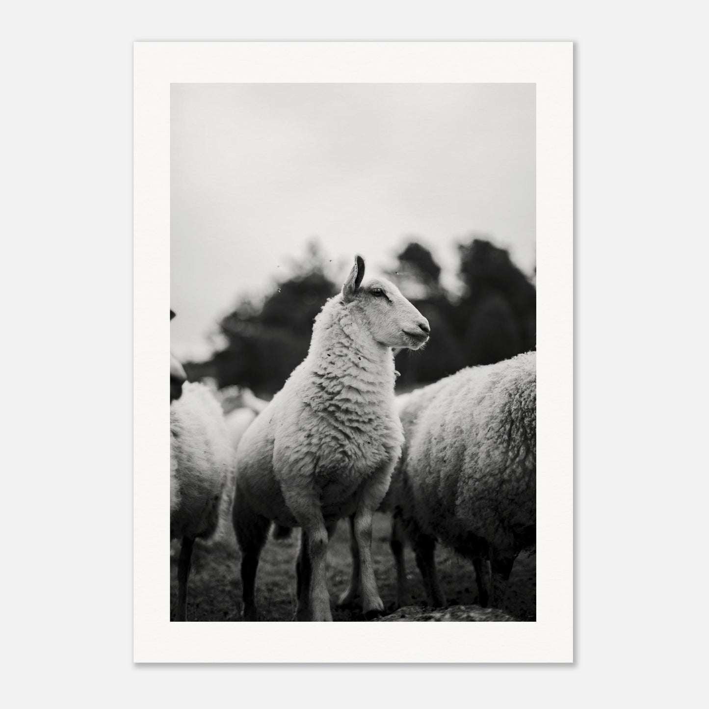 c2d9e318-0eb6-4487-8ff7-a55b768f35b7