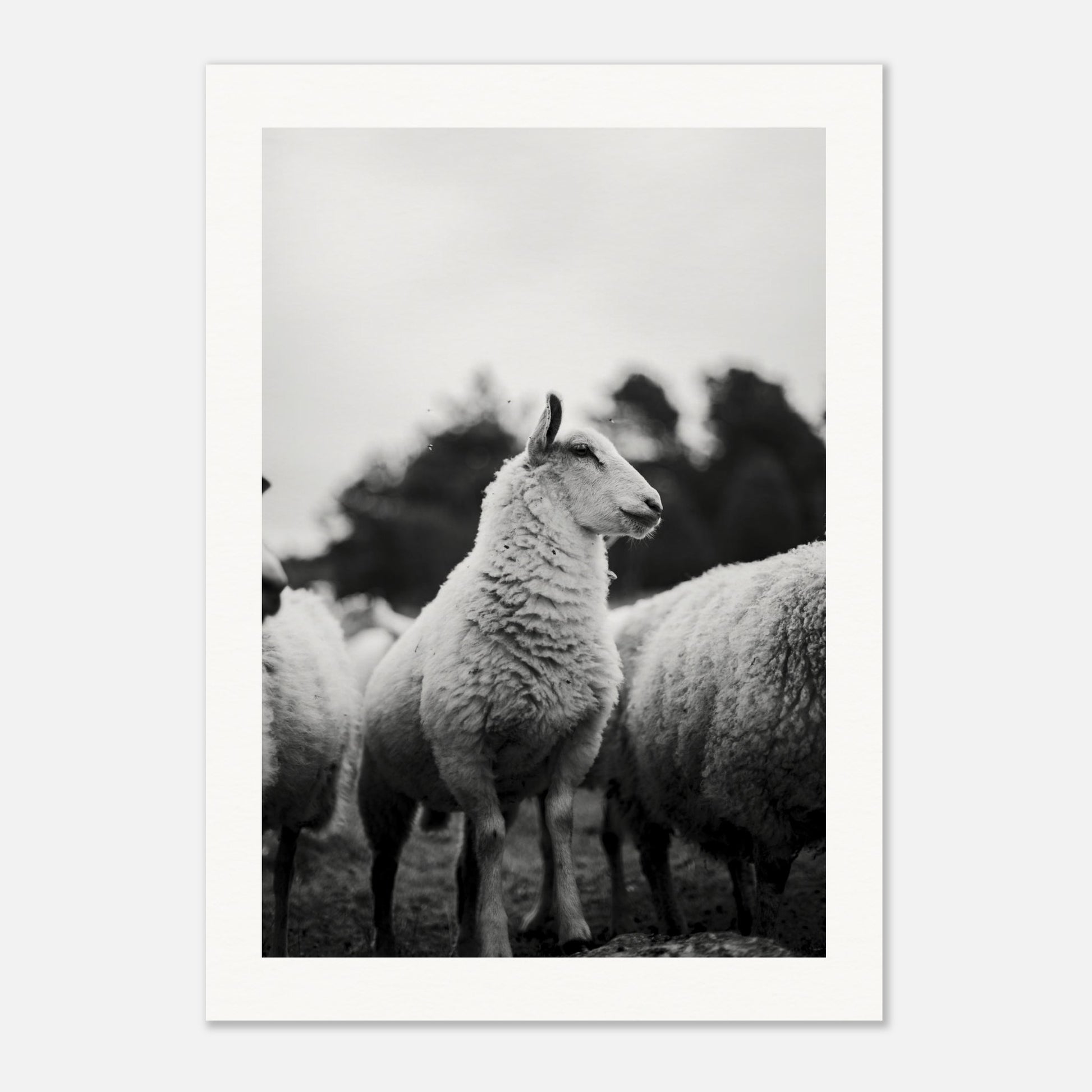 c2d9e318-0eb6-4487-8ff7-a55b768f35b7