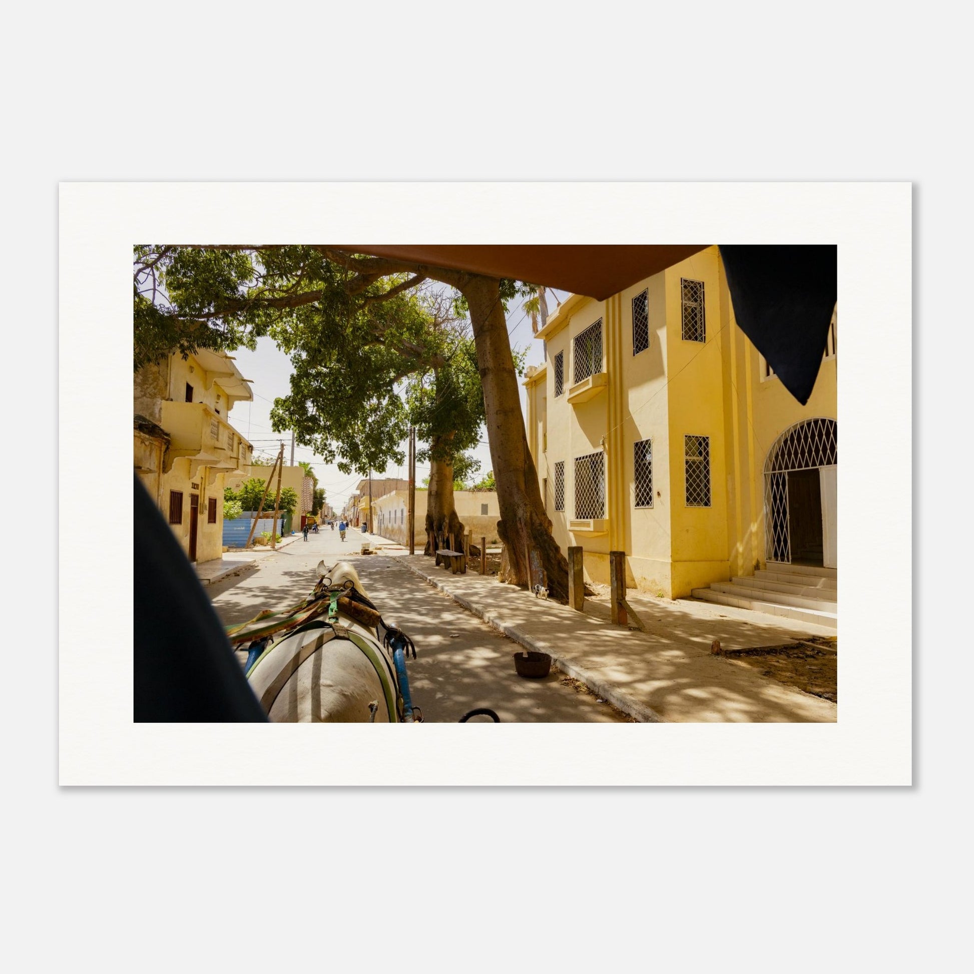 c2daedb6-ebf4-42fd-b475-b0eb41fb4daf