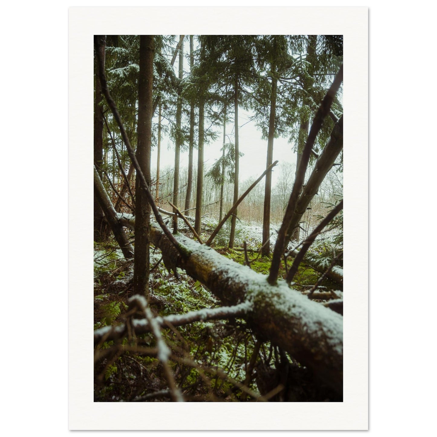 c3baacb1-6677-47a3-ac22-27a200447d3d