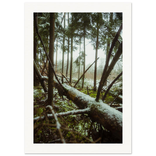 c3baacb1-6677-47a3-ac22-27a200447d3d