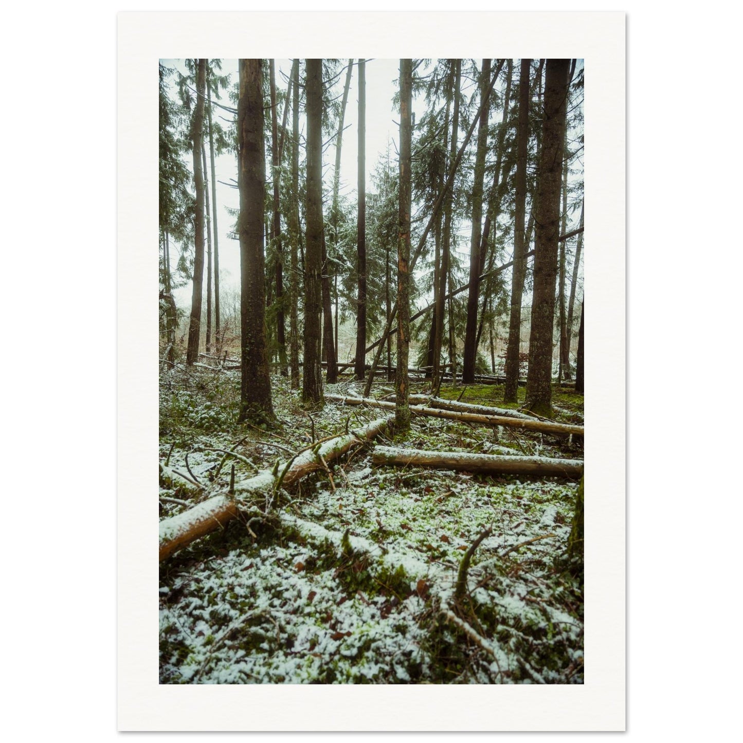 c62dc79d-2a22-4a09-bb74-493a92d3ed1f