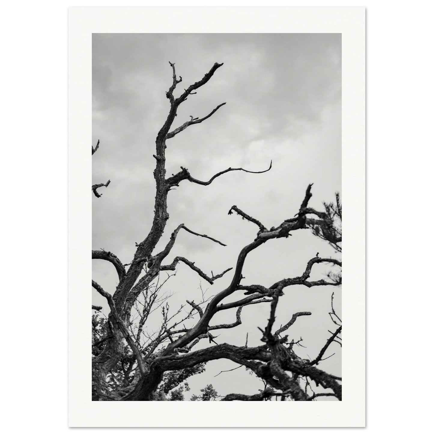 ca3bf281-41dd-4e57-bfd4-8d19ffe15fb9