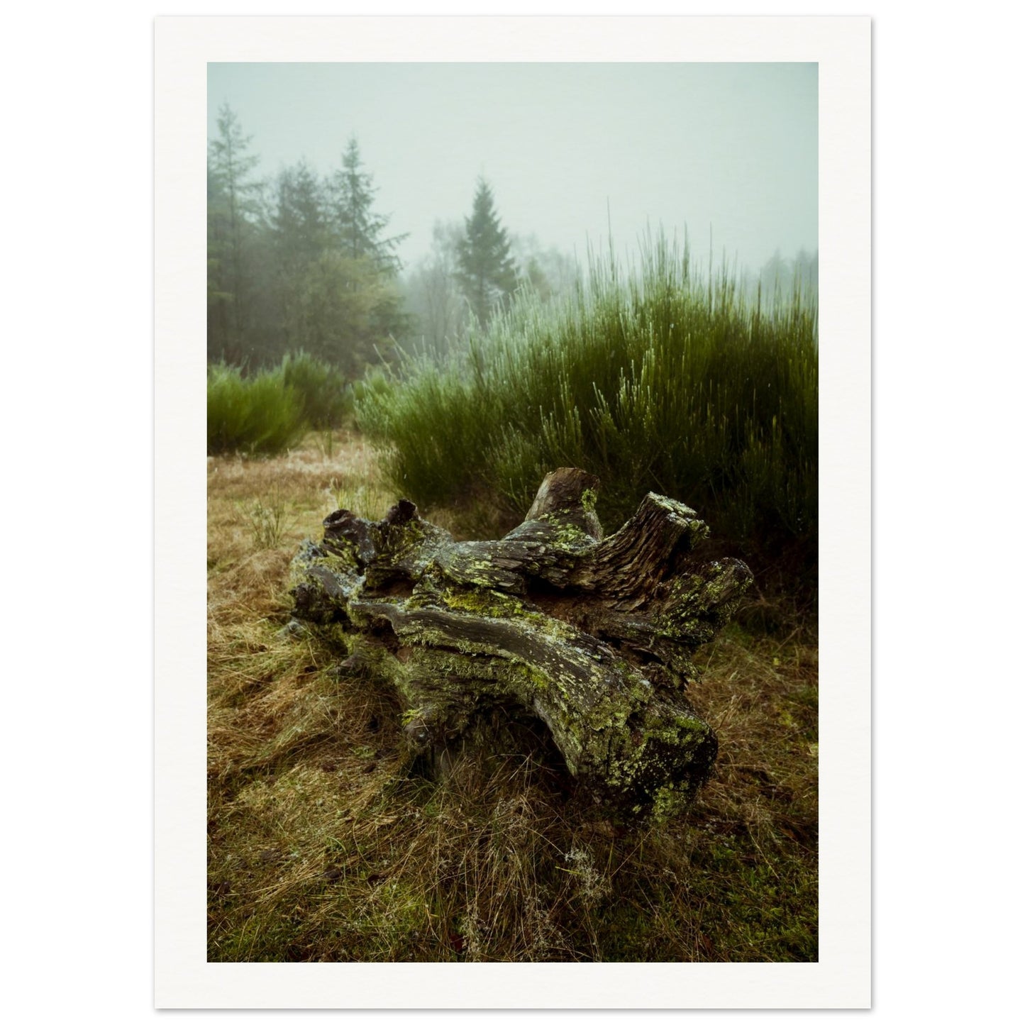 ca9bd6d8-d4de-4724-9217-93a9f946bbba