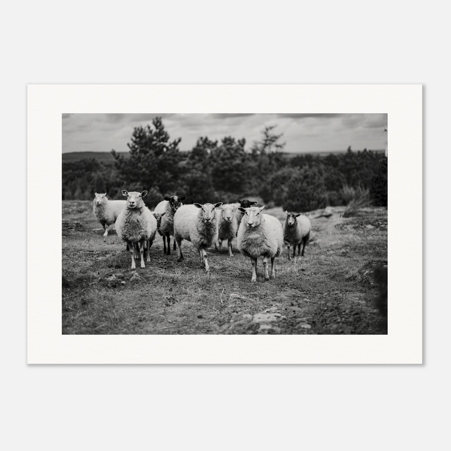 cb8ccc84-0178-47bb-8dc1-e4efe0e79f15