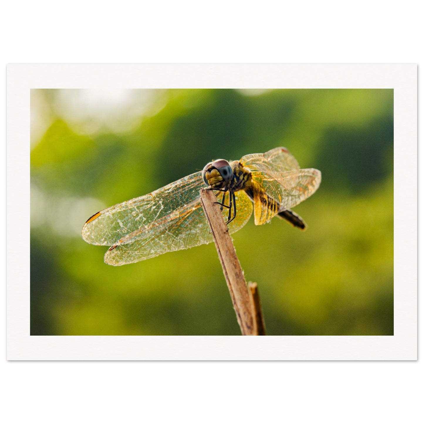 cc9f3034-ec59-4056-b50c-34cacdf42fd9