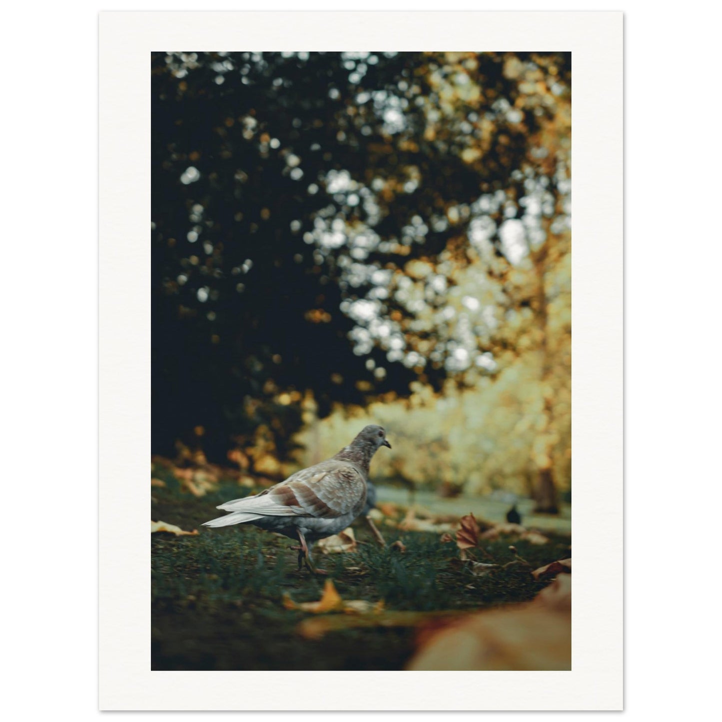 cd8d3be0-6cd3-4e92-9990-d84999f00147