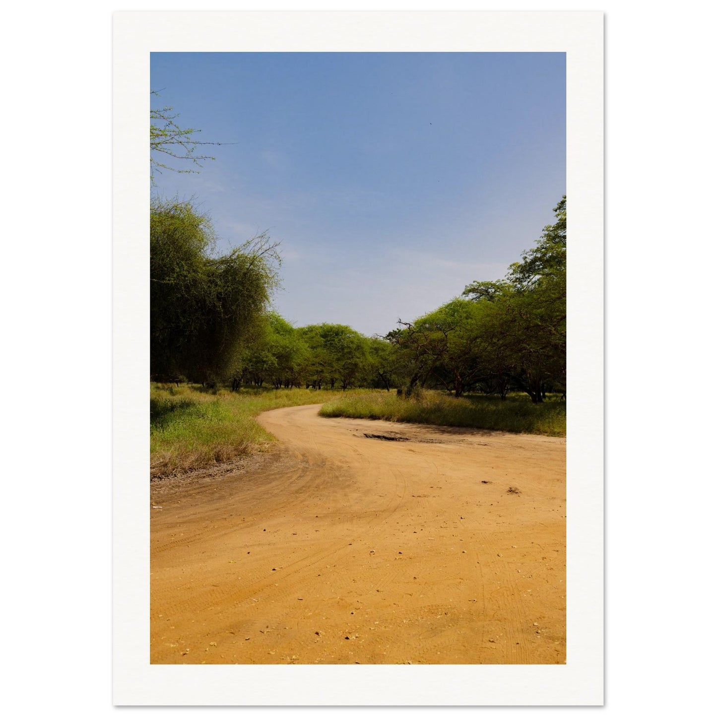 ceb093a7-bf45-4635-bacf-870e0698df19