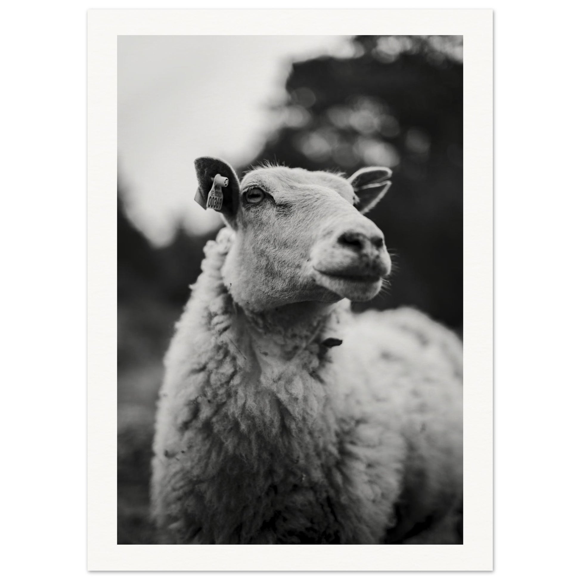 d0ad6e2d-f9f6-437e-9037-b8fa5b84ffa0