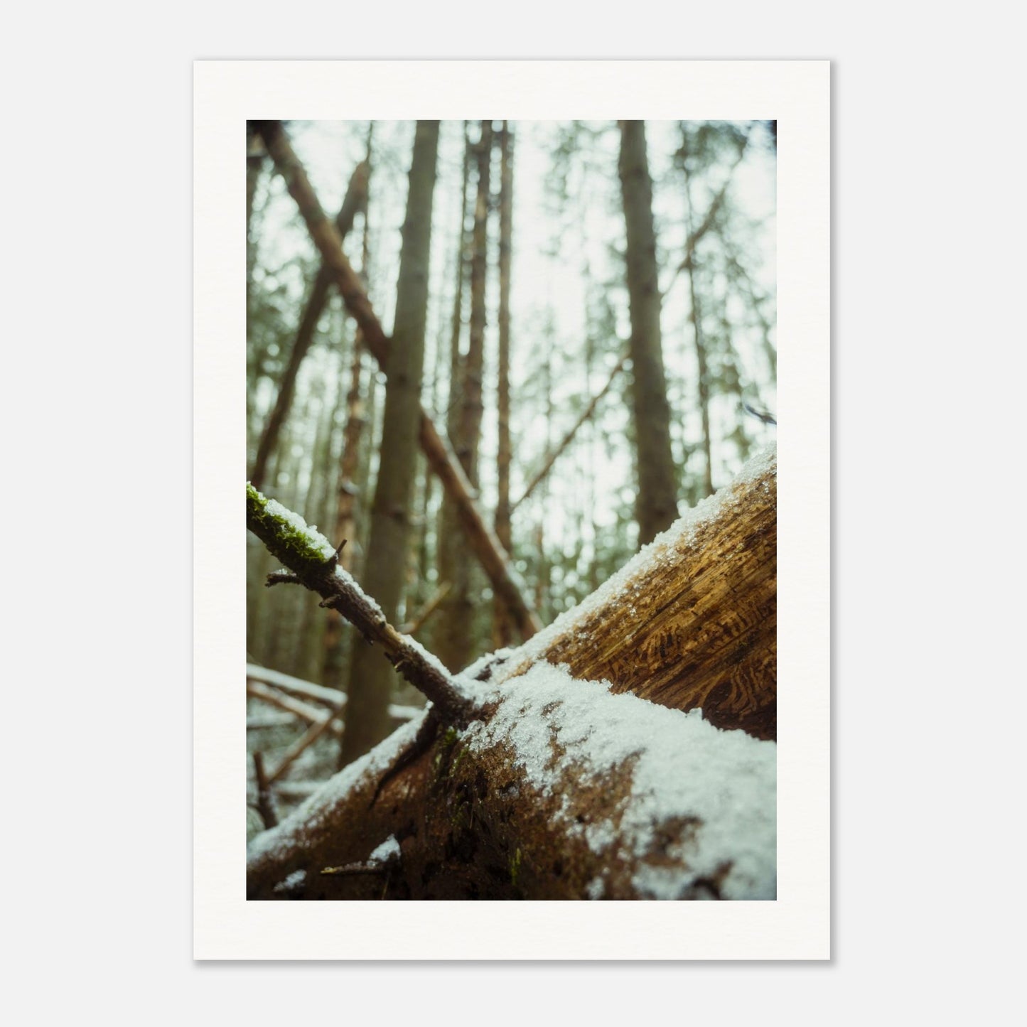 d0b35a37-e64c-42c3-8d25-88efe7d20b5c