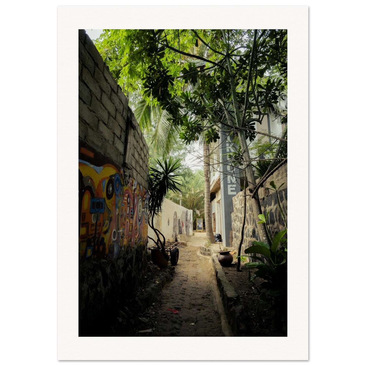 d10f3b81-5cbd-4207-9d32-f54d5cb7d84b