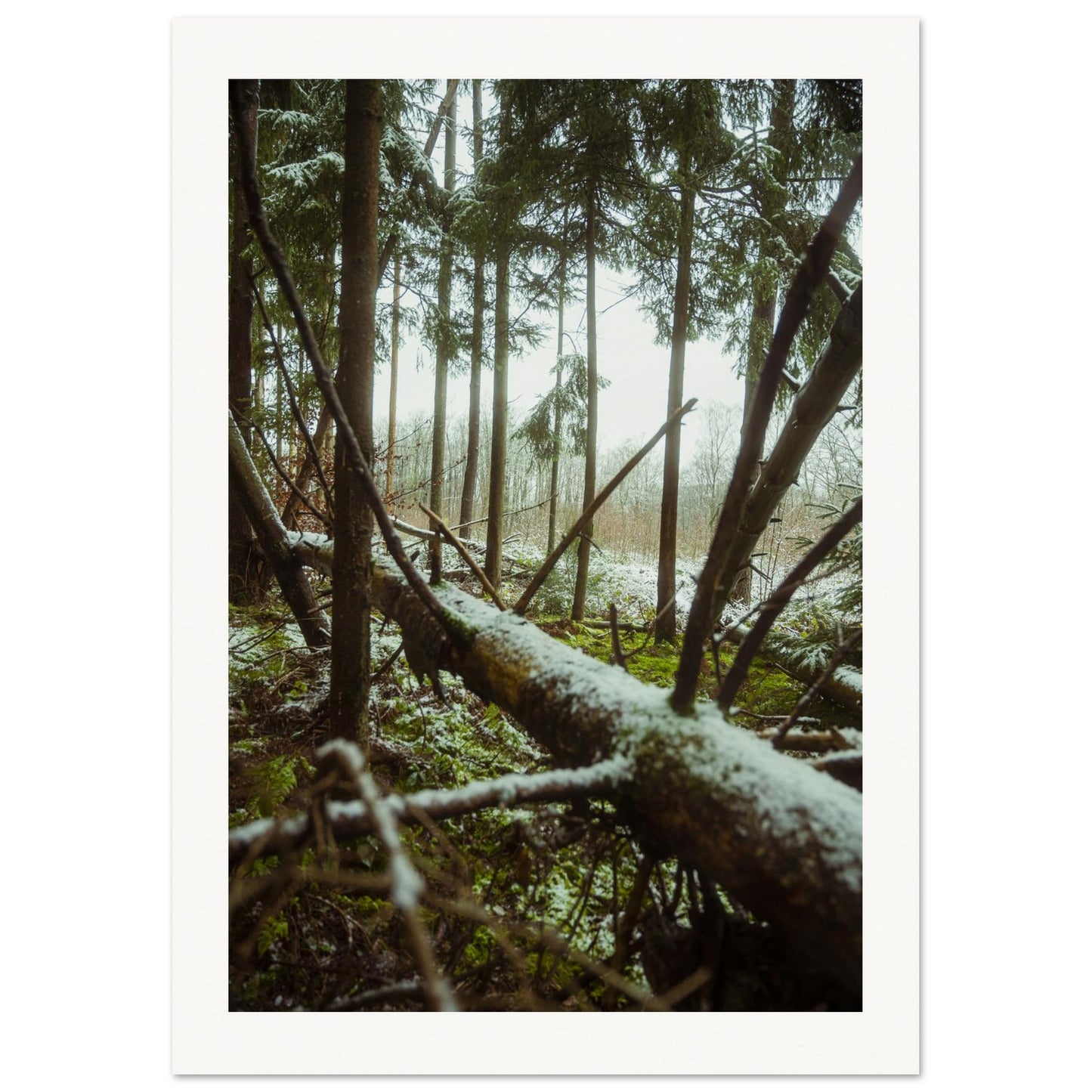 d166d5dc-40e2-467f-90bf-e25df062b1cd