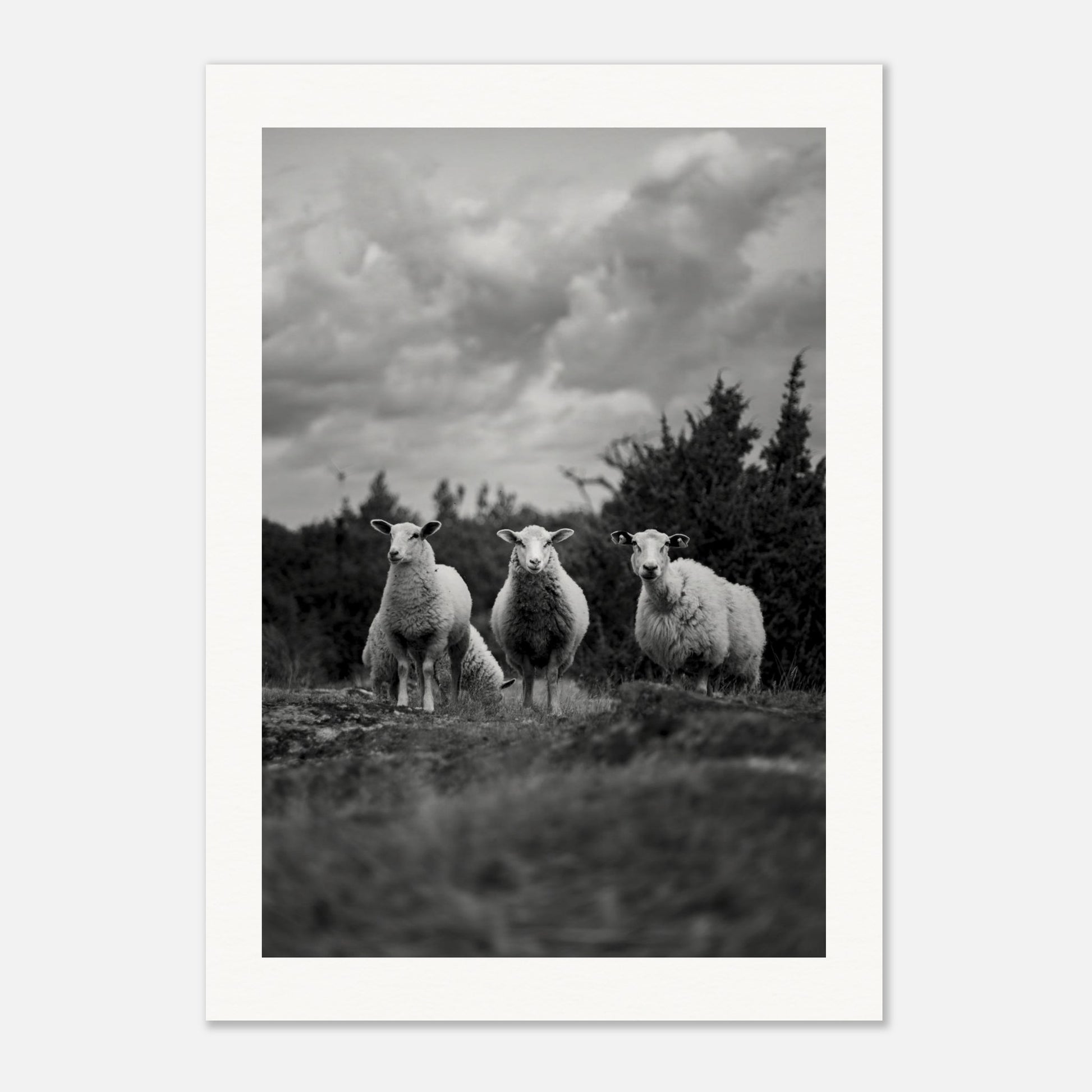 d1e6c972-511e-46d7-8cf8-a2bf047c81e0