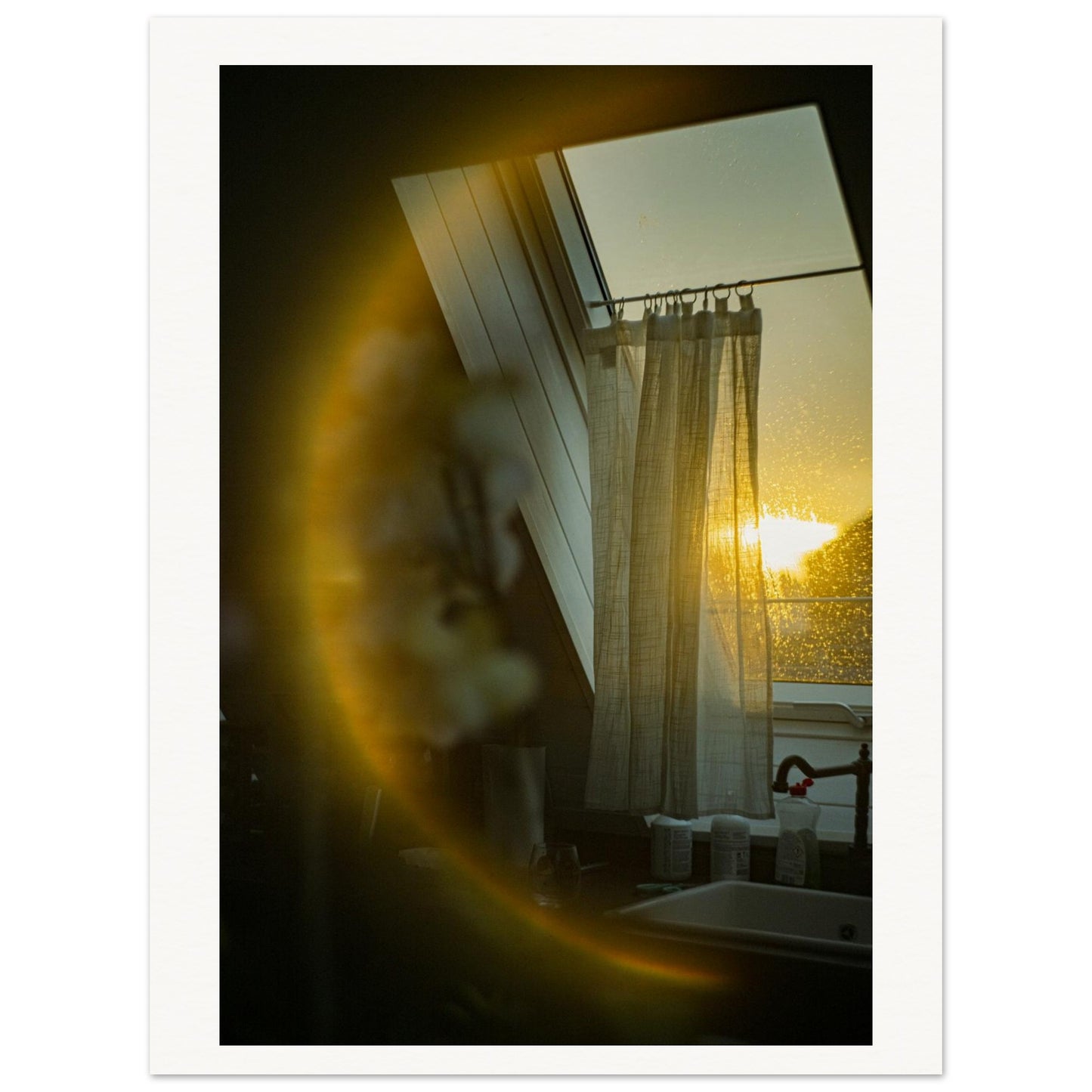 d1f34f26-f564-4e24-9c60-3928743a1c40