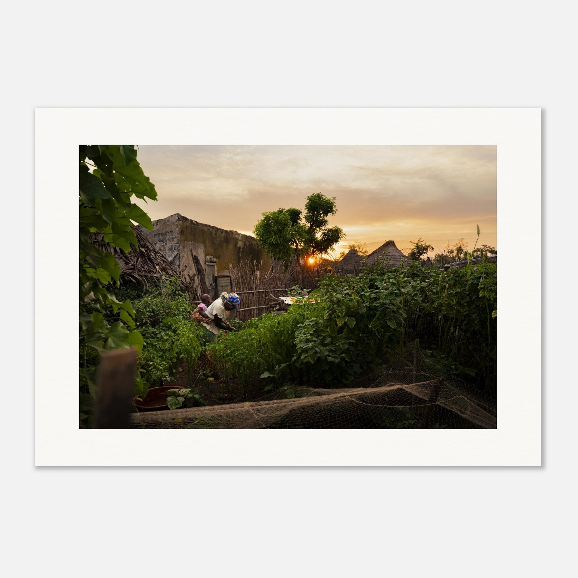 d3bf6b0a-2e57-4193-bea2-7b4fa4d5e1ba