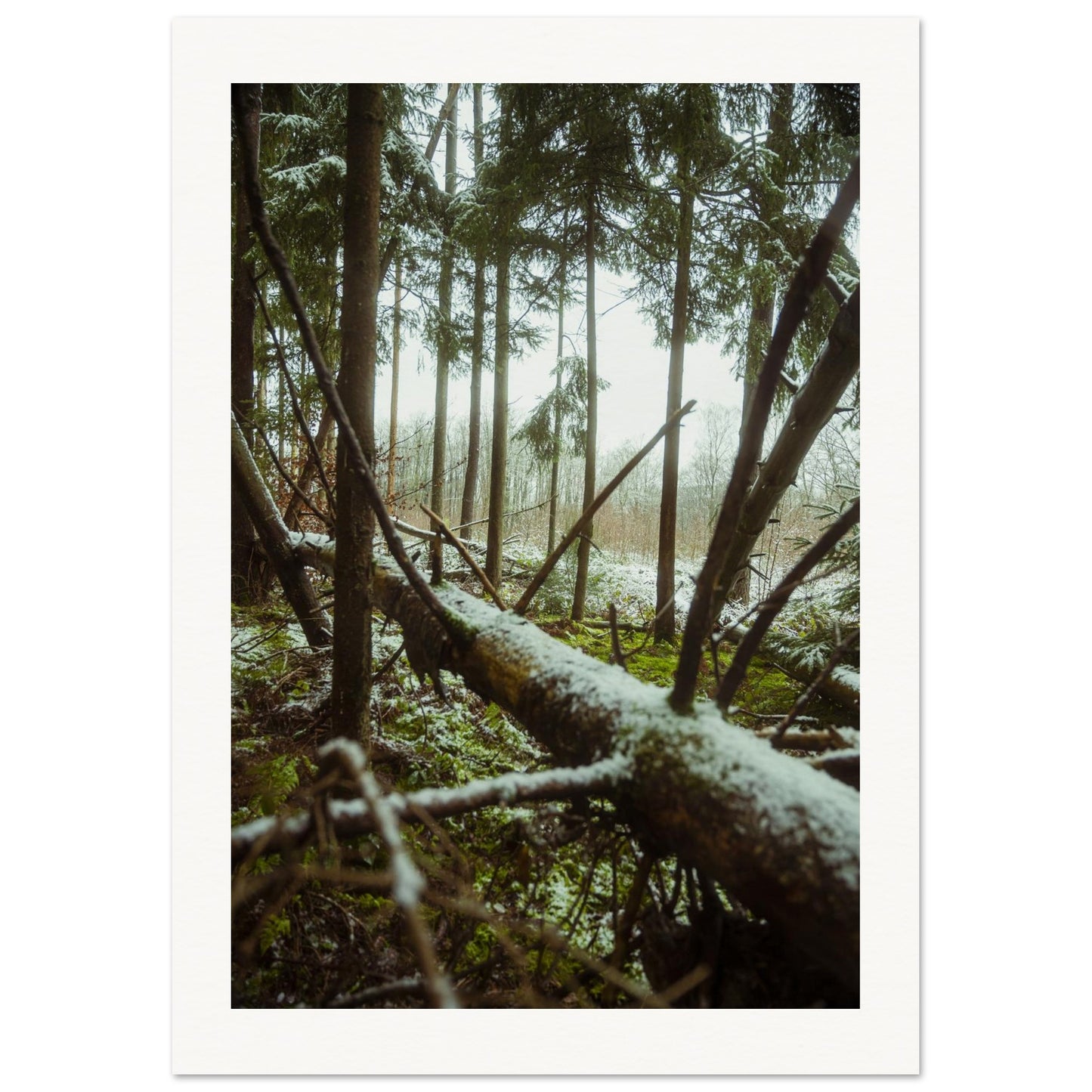 d3db8b28-f165-4580-84e3-22390b54061c