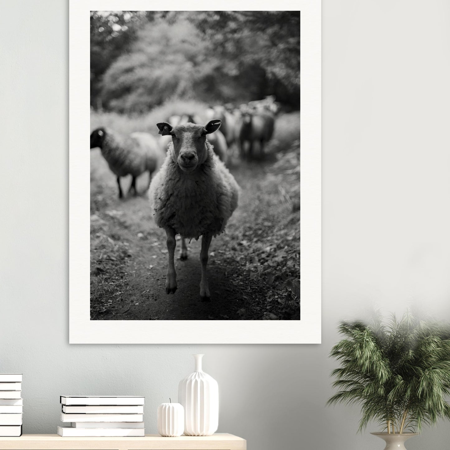 d3e9fe8a-e6a8-4561-8919-2edcdd21f985