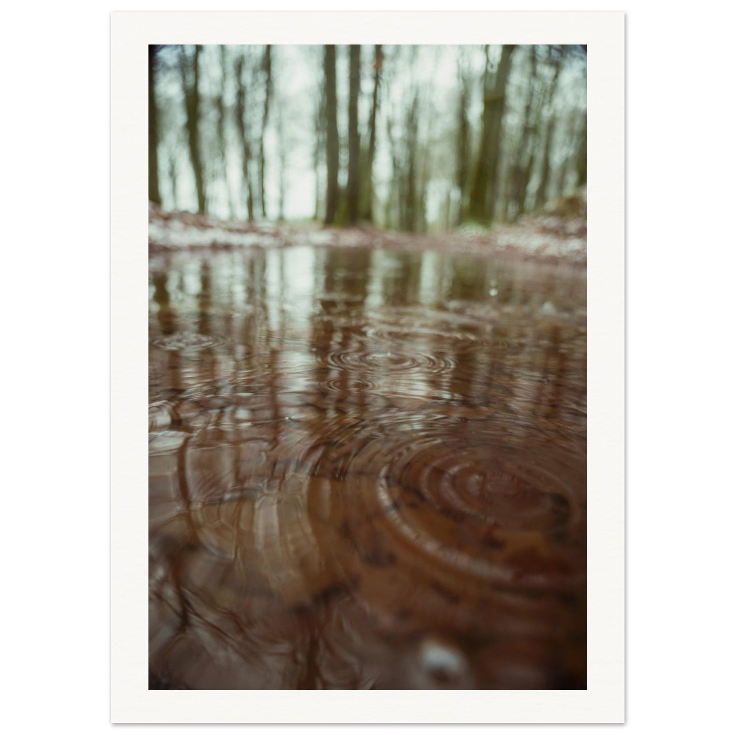 d4a34211-6138-4f0f-8b9a-e0ebfbb53414