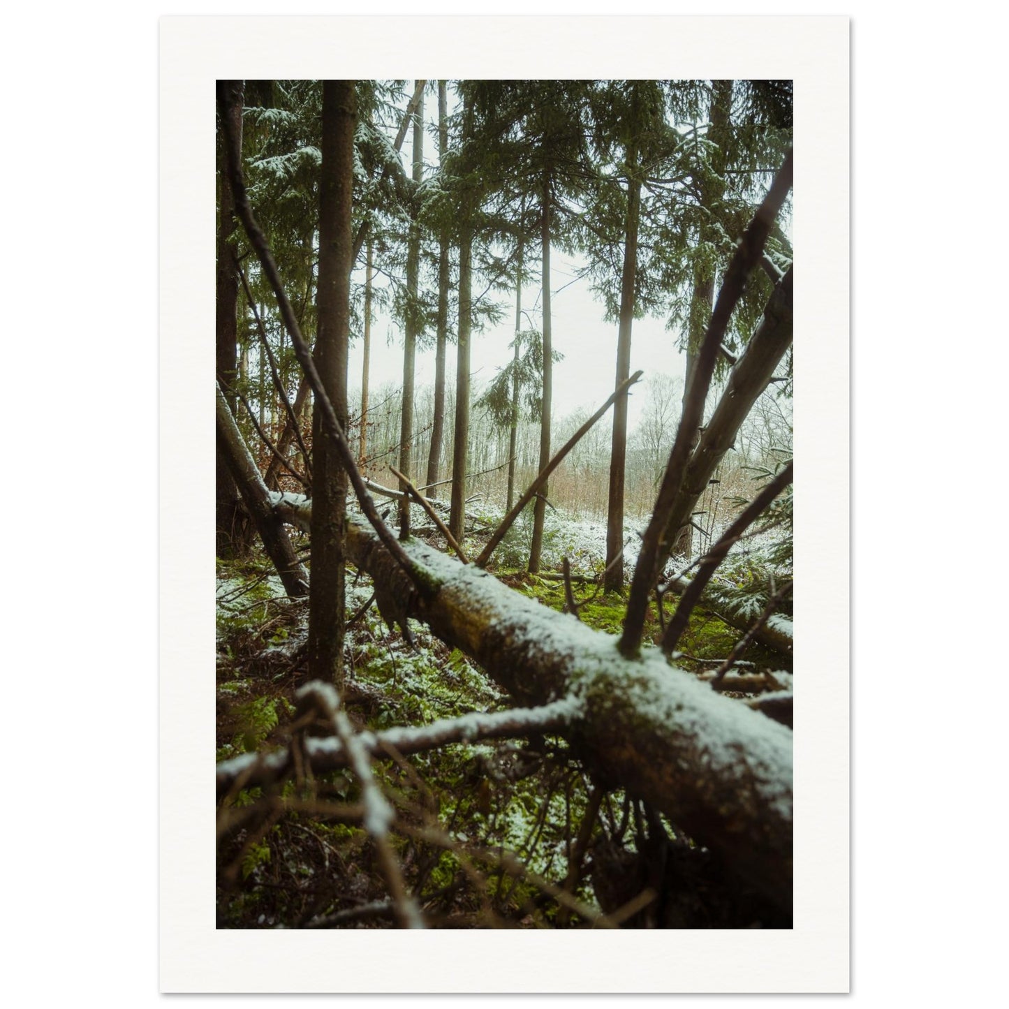 d546e432-7633-4297-a053-0180c1e8a28c