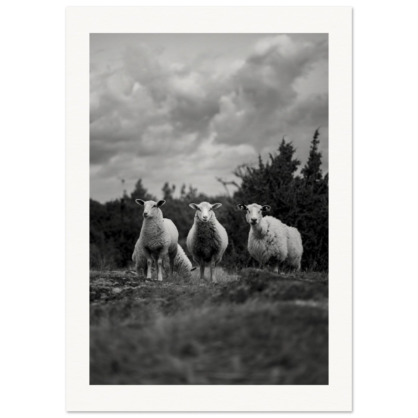 d563ada3-df45-41ed-8a97-95aa938bf3e3