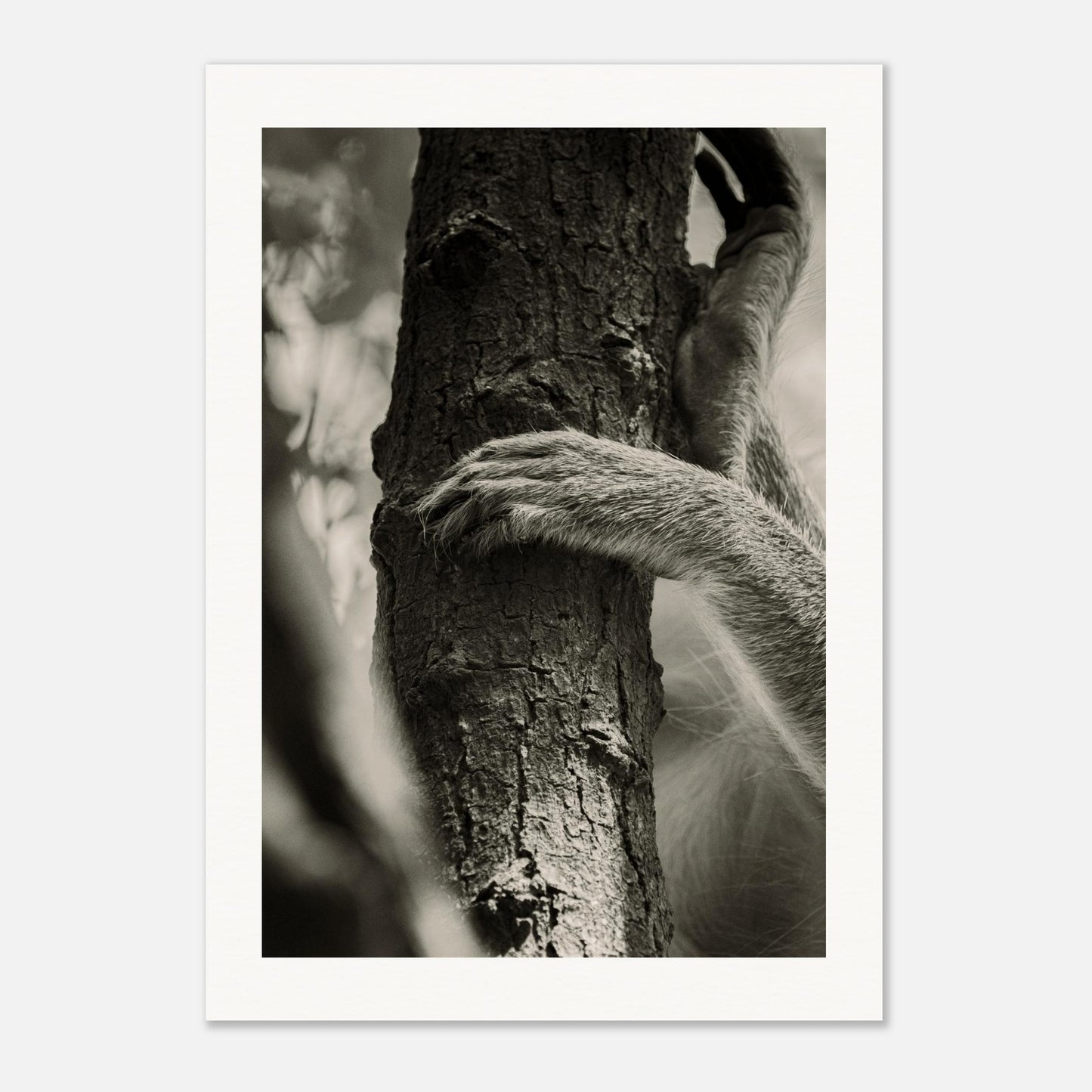 d64d5b2d-4b1d-4ae0-913d-422c14867e59