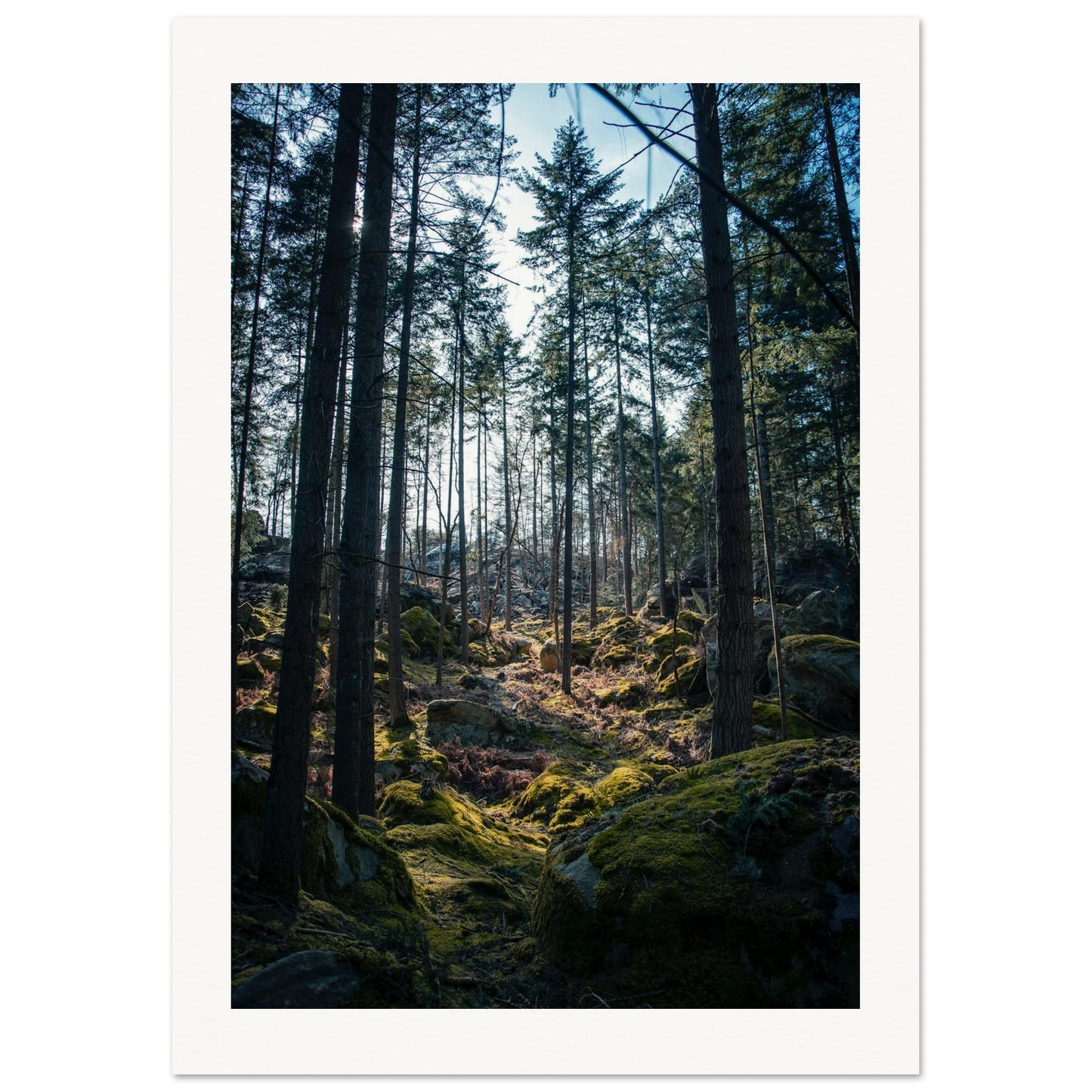 d6c16046-65e1-4924-9046-e963cac22cbc