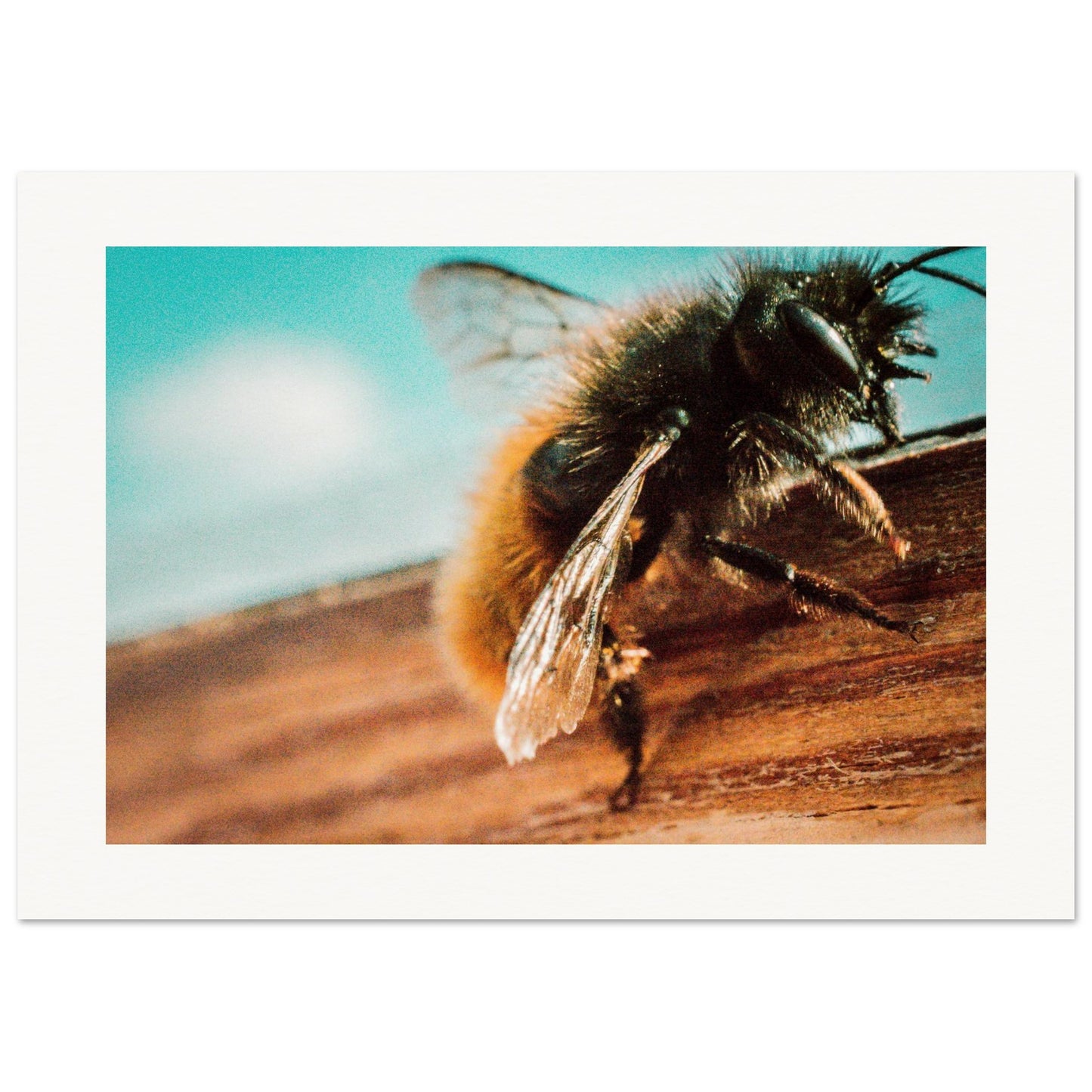 d7167936-9965-4040-acfb-cd97e3b6690f