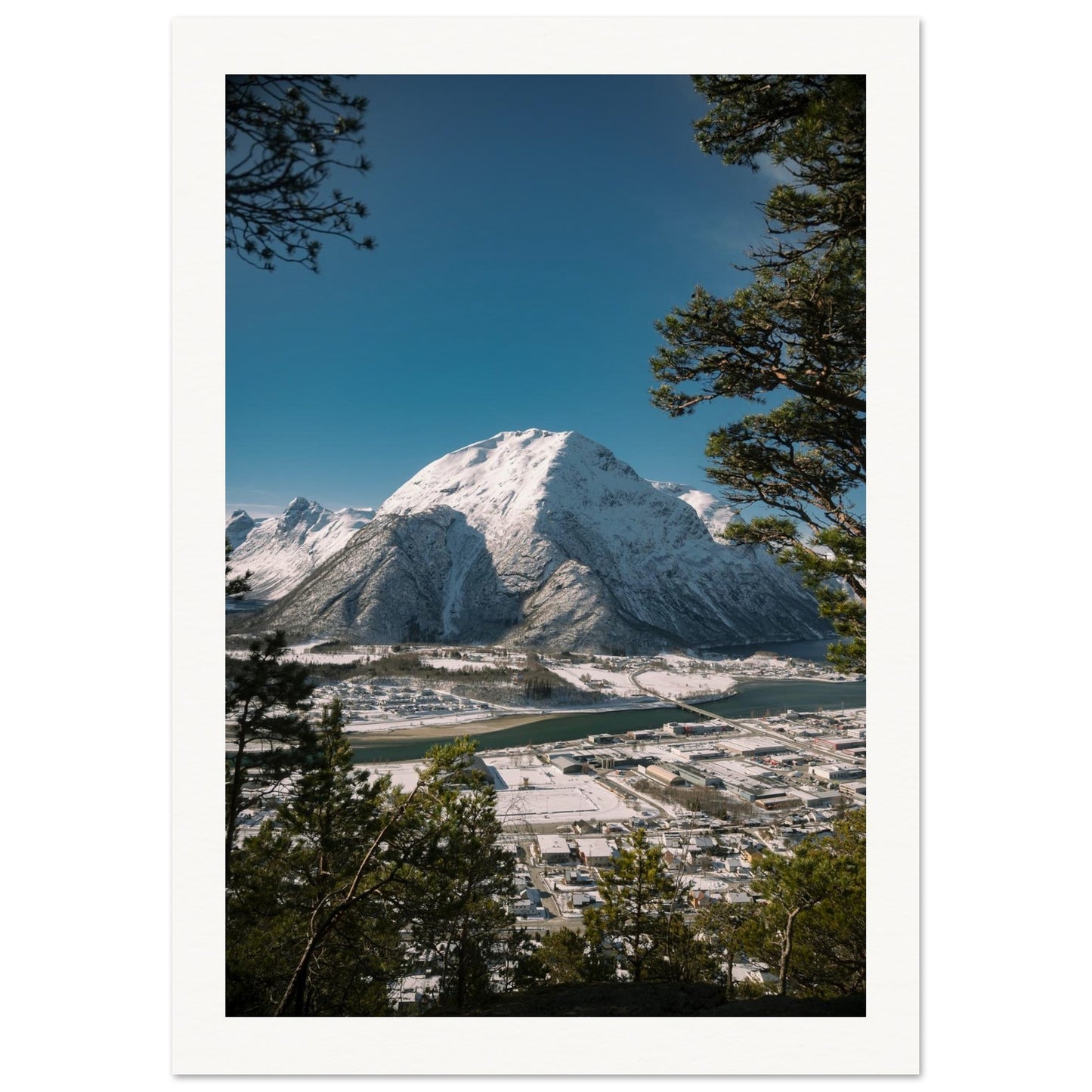 d7b3af2f-2e2d-466e-9ffa-c9a008bcfed7