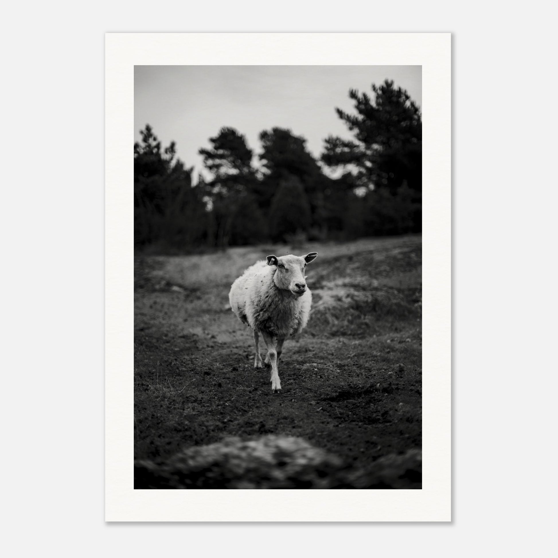 d82d8451-1372-4e7f-b760-963cb3d6ba82