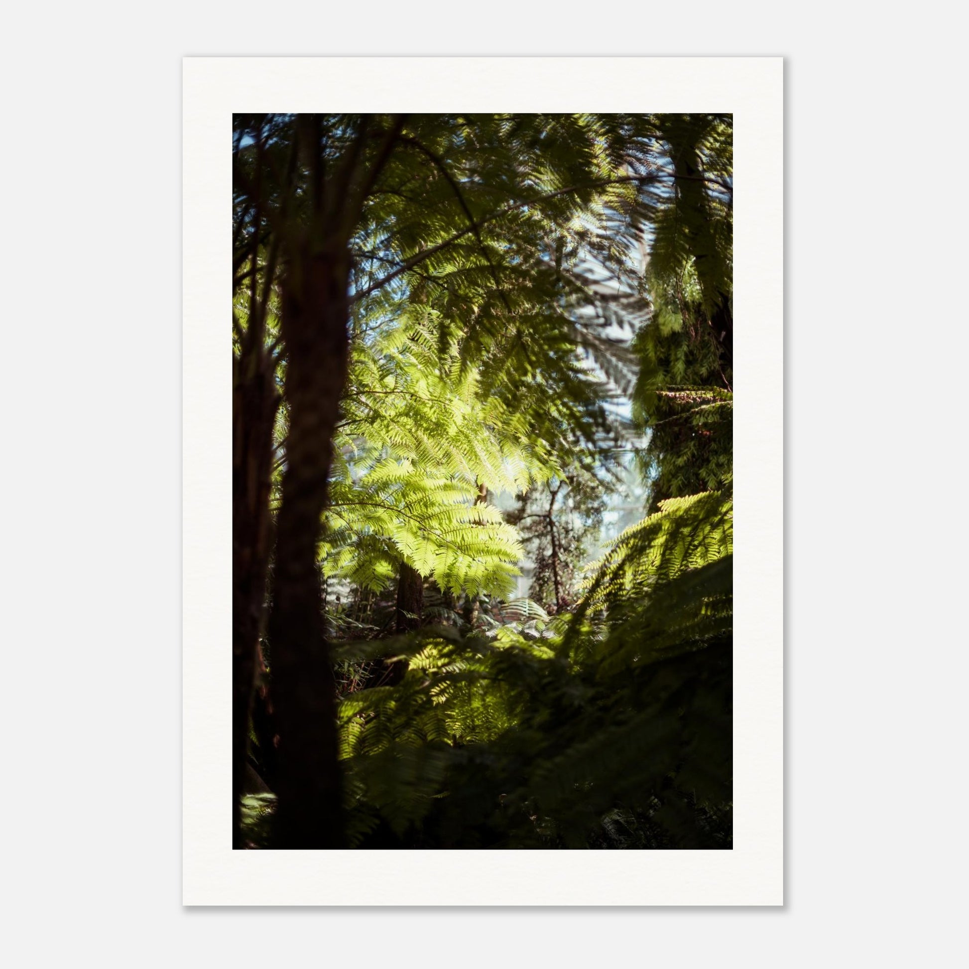 d95d4c7f-3650-472f-94a2-6cd42fc5e205