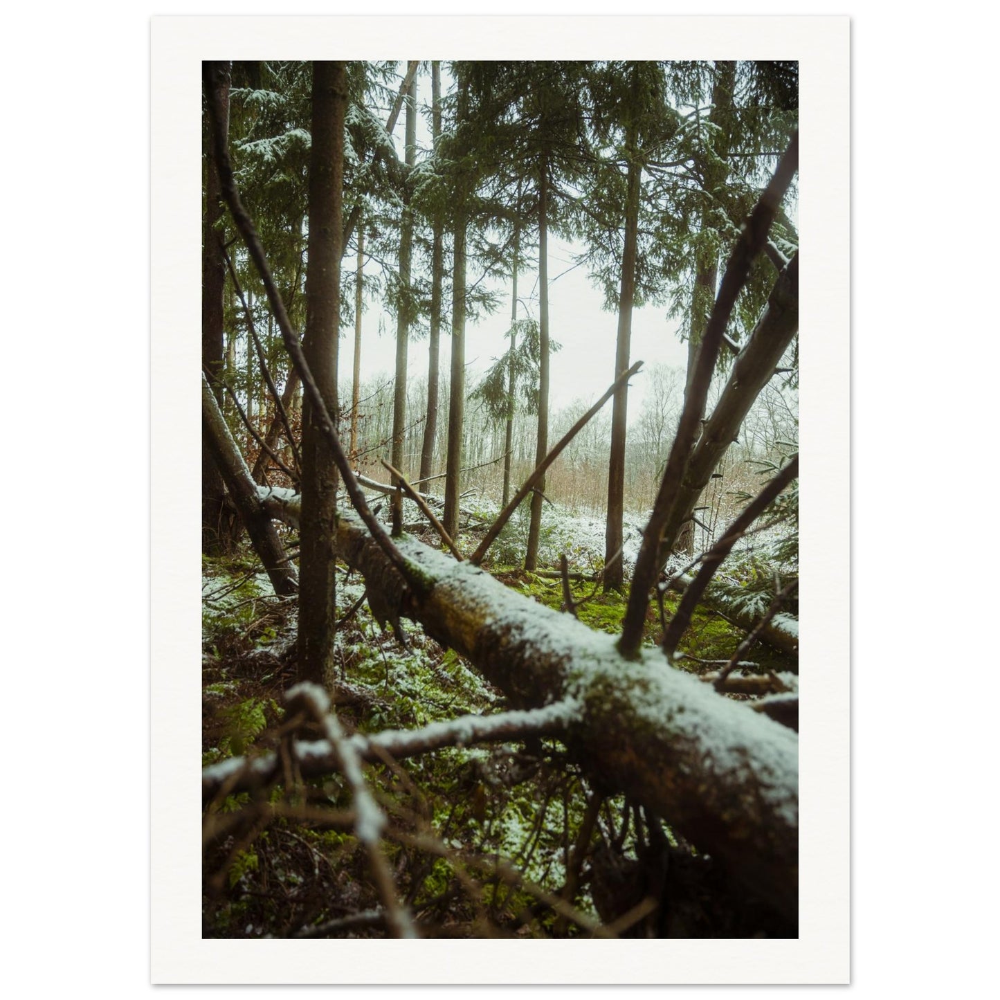 de13f836-6000-44d4-addc-2f39911f1f39