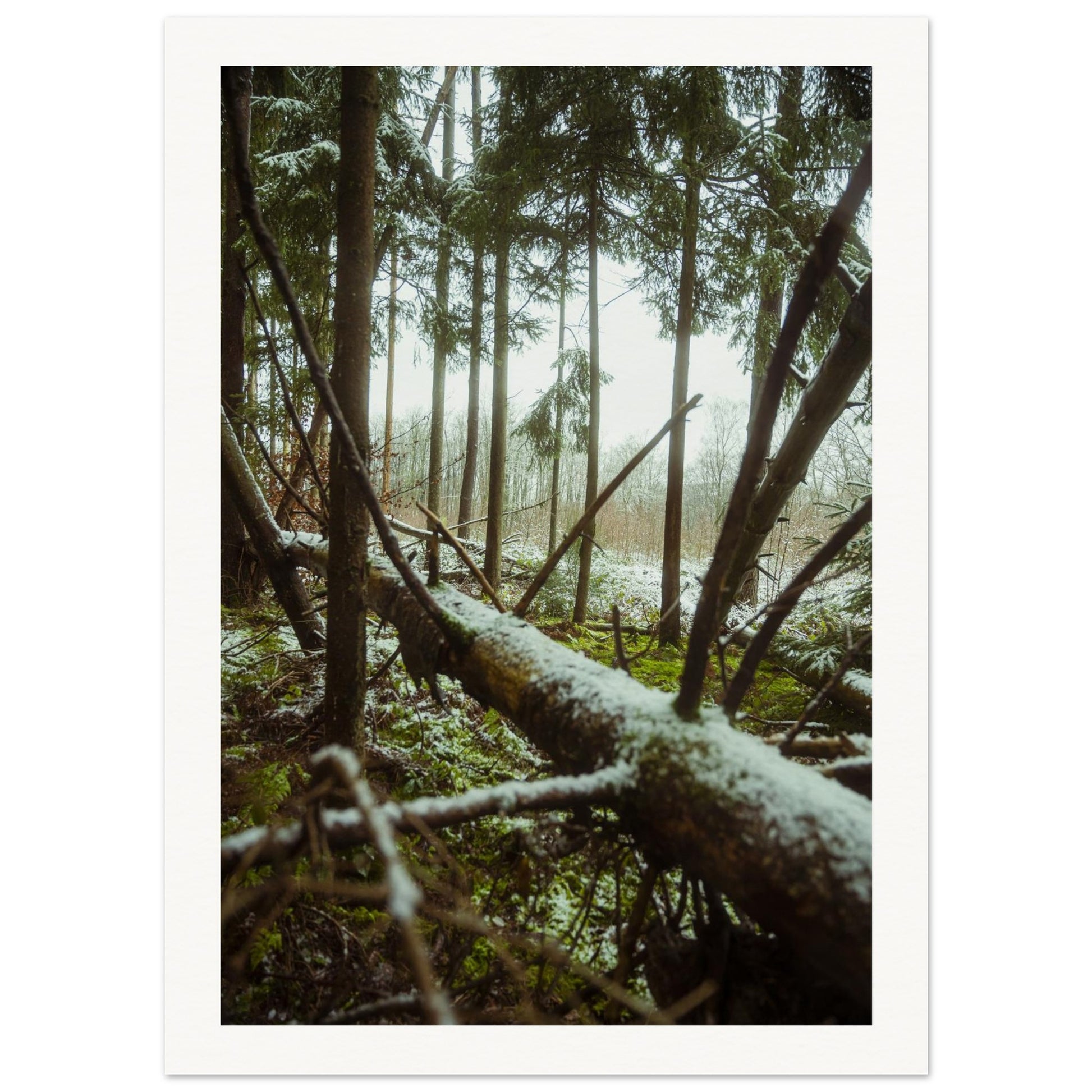 de13f836-6000-44d4-addc-2f39911f1f39