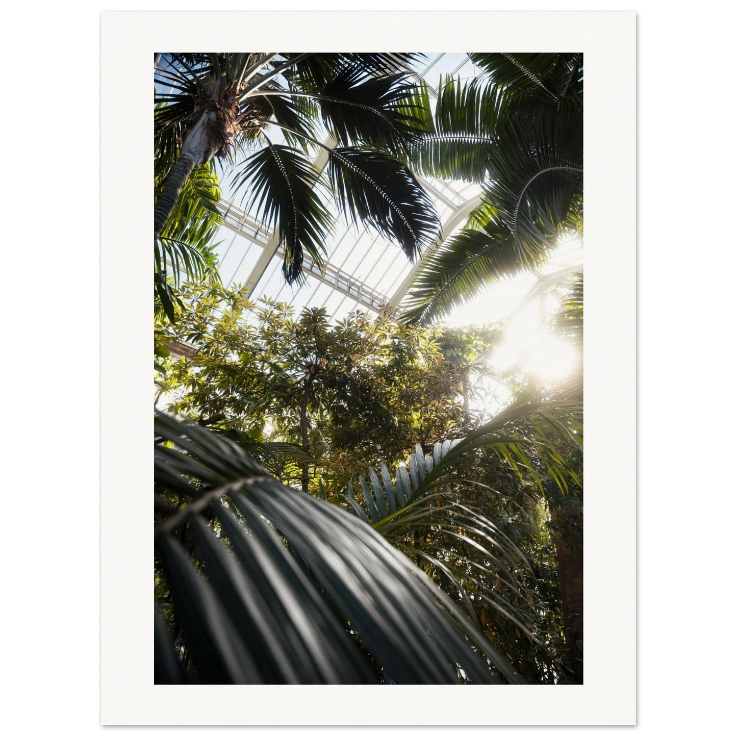 df7ce376-2c6f-495f-8a54-de863c95a439