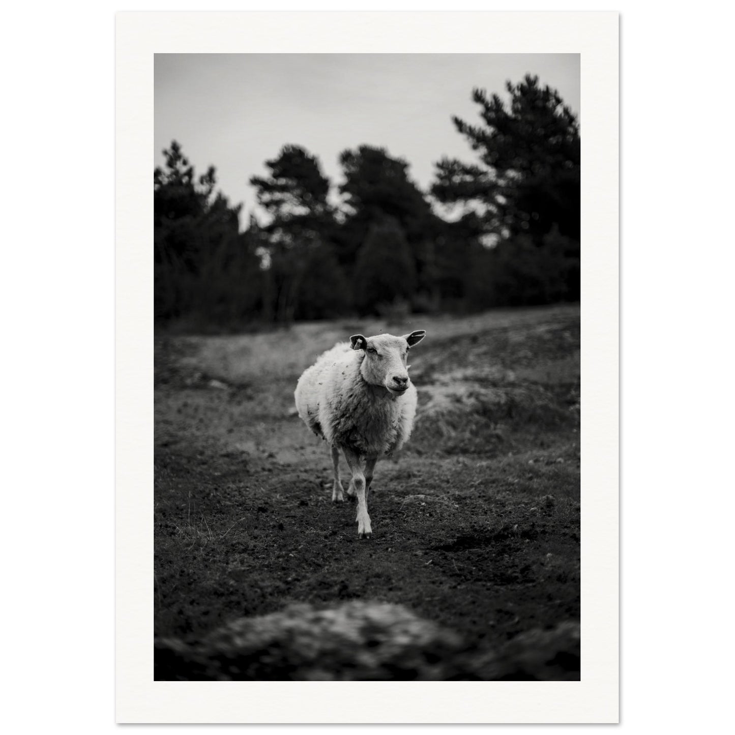 e0202339-cce2-4bc7-8f91-806a4b93e73f