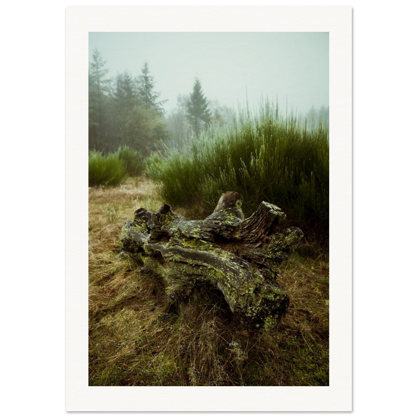 e211519e-b8ea-4a20-836f-285b2be74d82