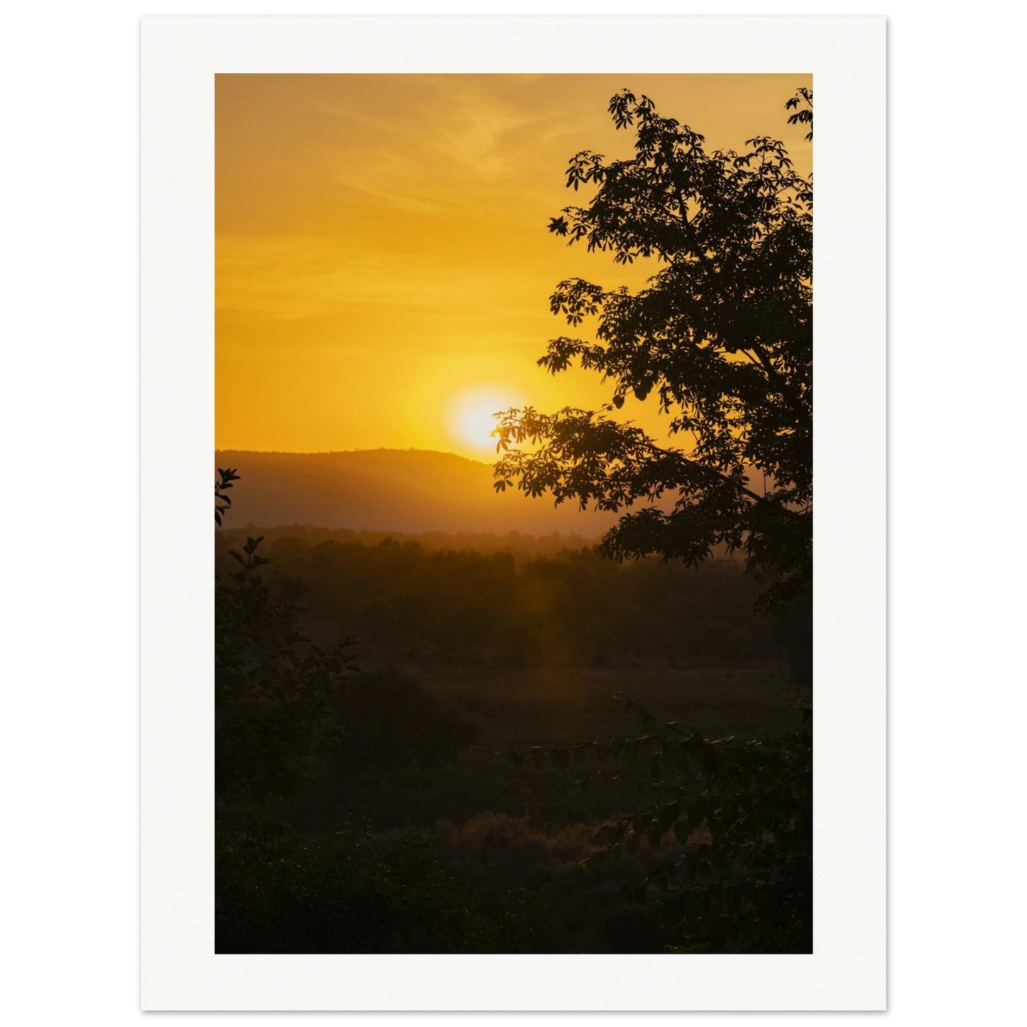 e46bb558-2990-4c19-ad92-8008a218ec34