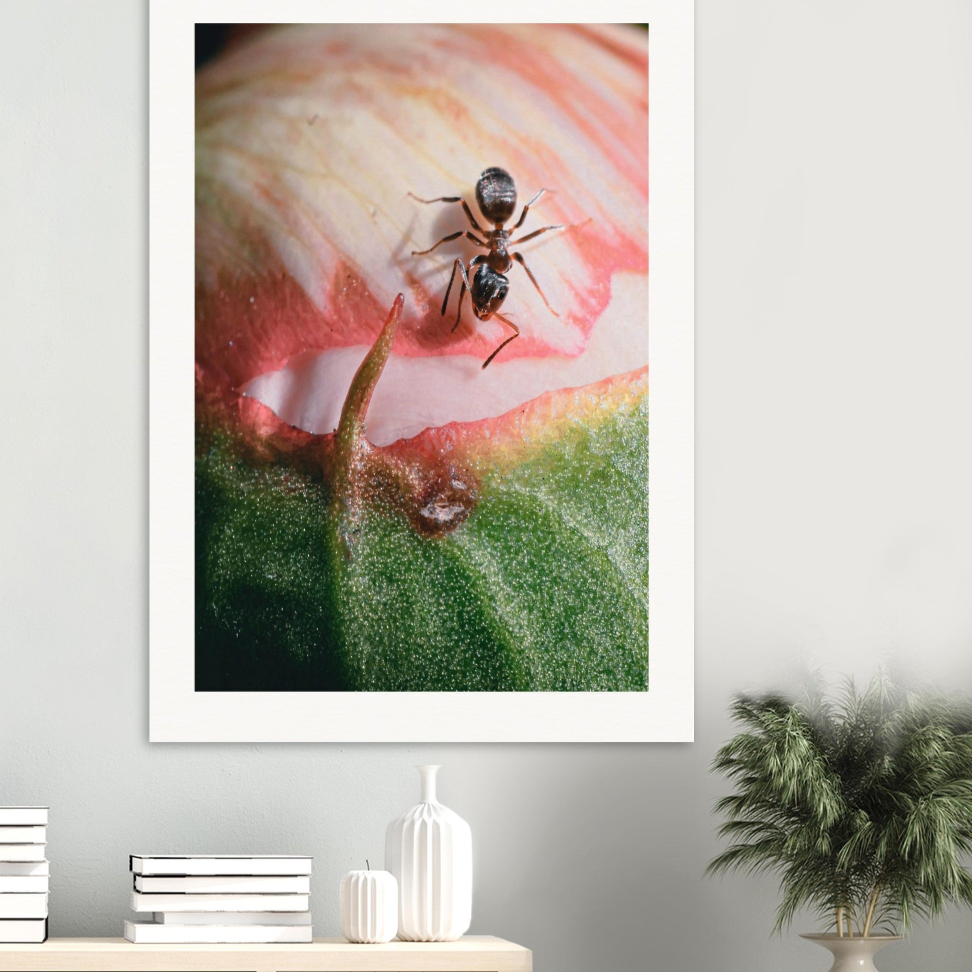 e506276b-8d61-4933-bc00-0d696d374990