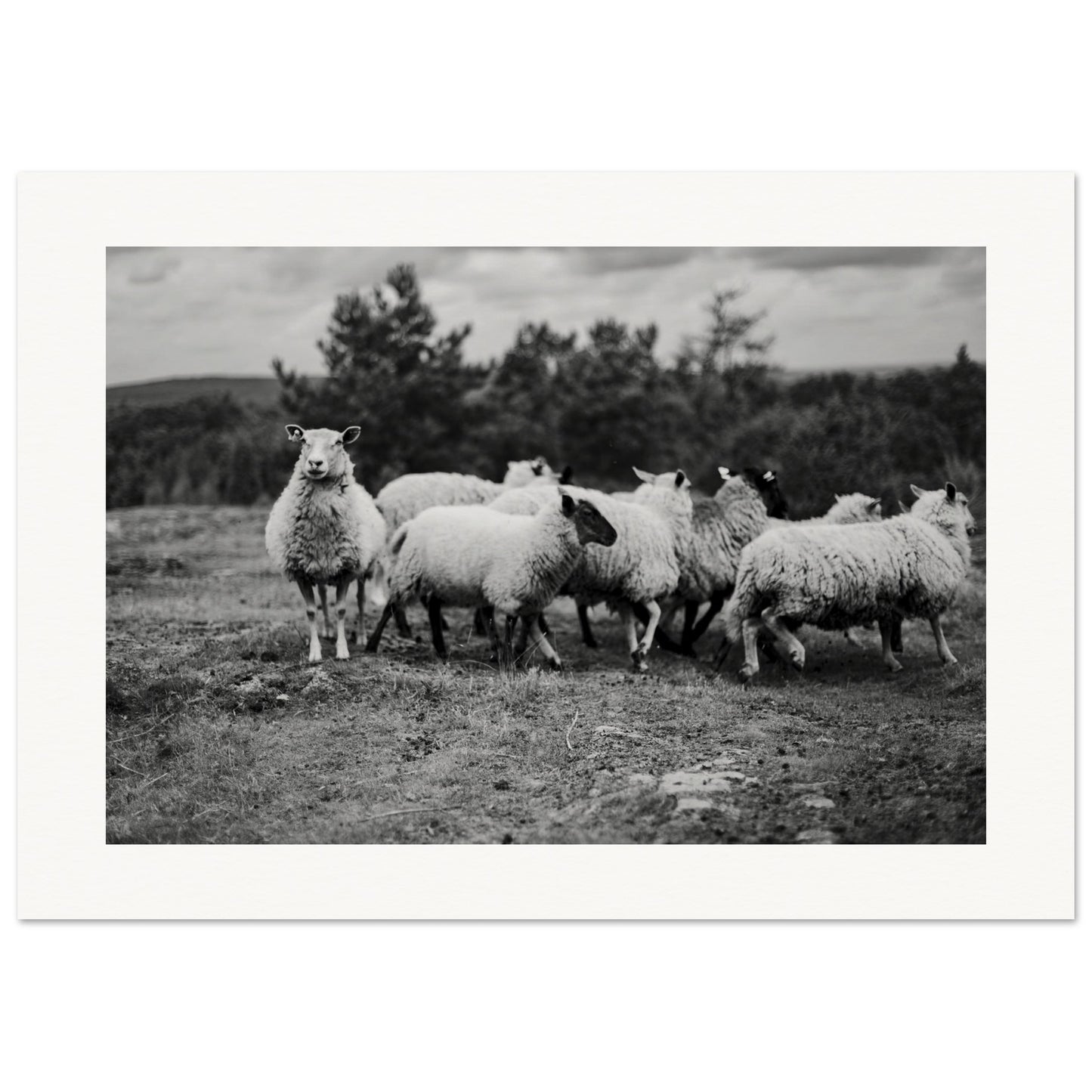 e5925fc3-2268-4bf9-9abe-af79b9b9ba45