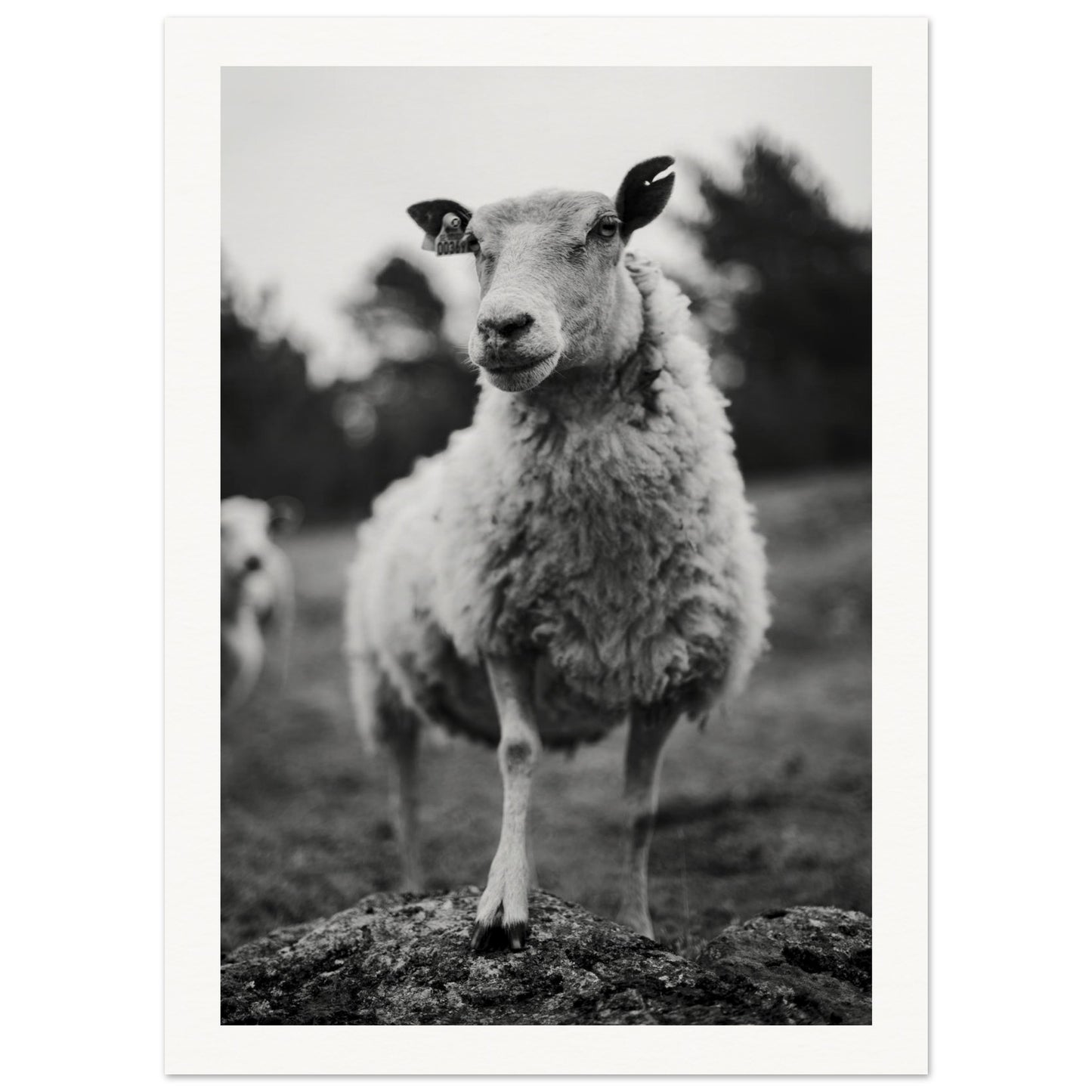 e62022a2-c131-43f5-b585-b74782d33b2d